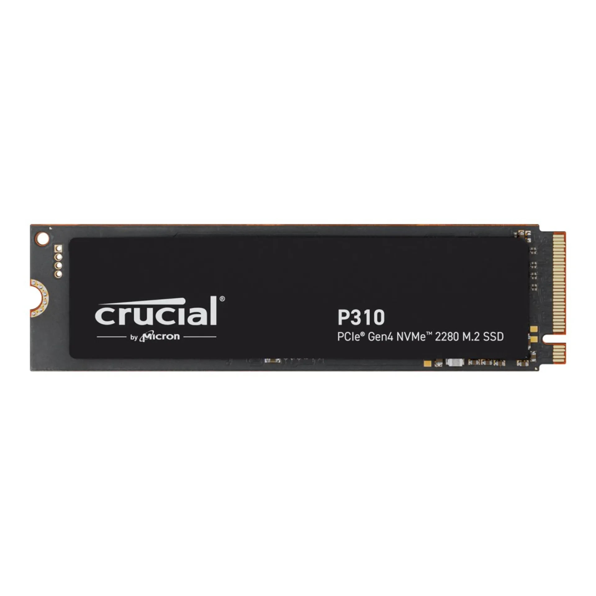CT4000P310SSD8