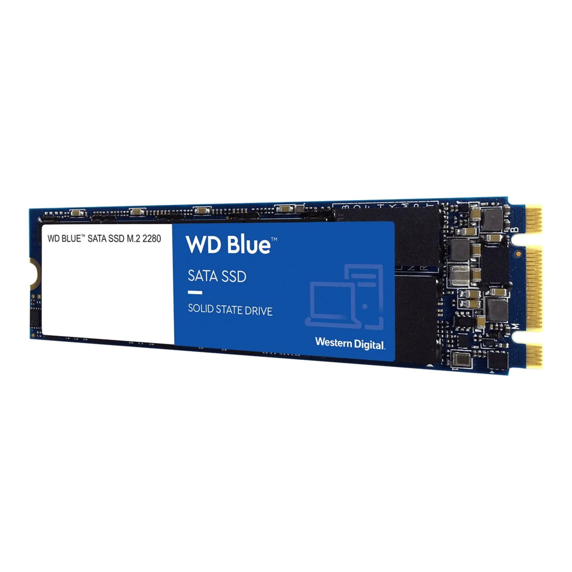 WDS250G1B0B