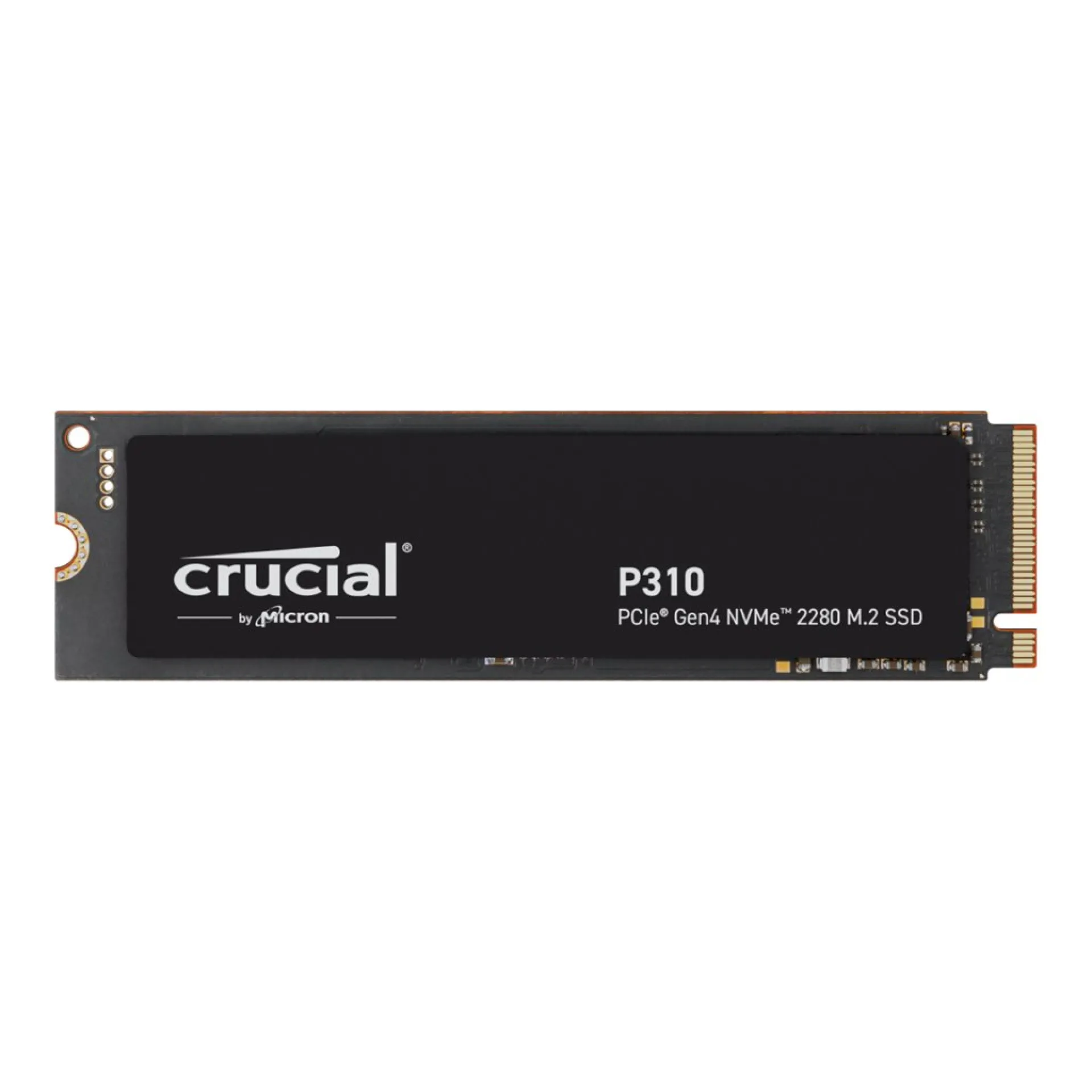 CT2000P310SSD8
