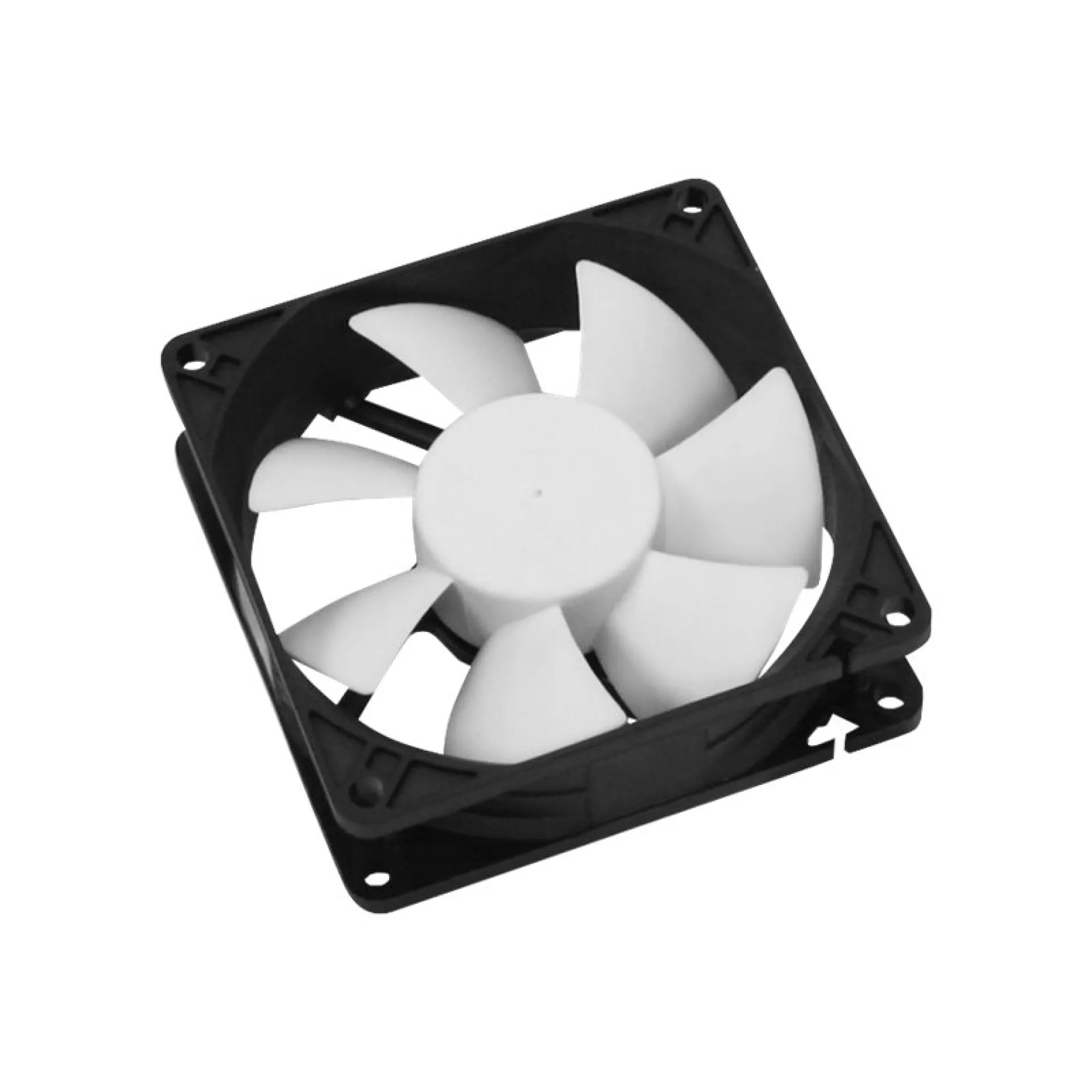 CT80BW