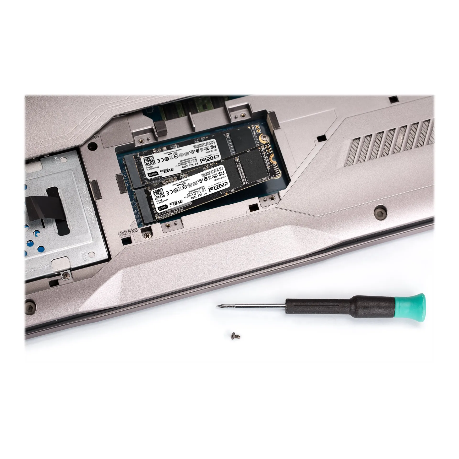 CT1000P1SSD8