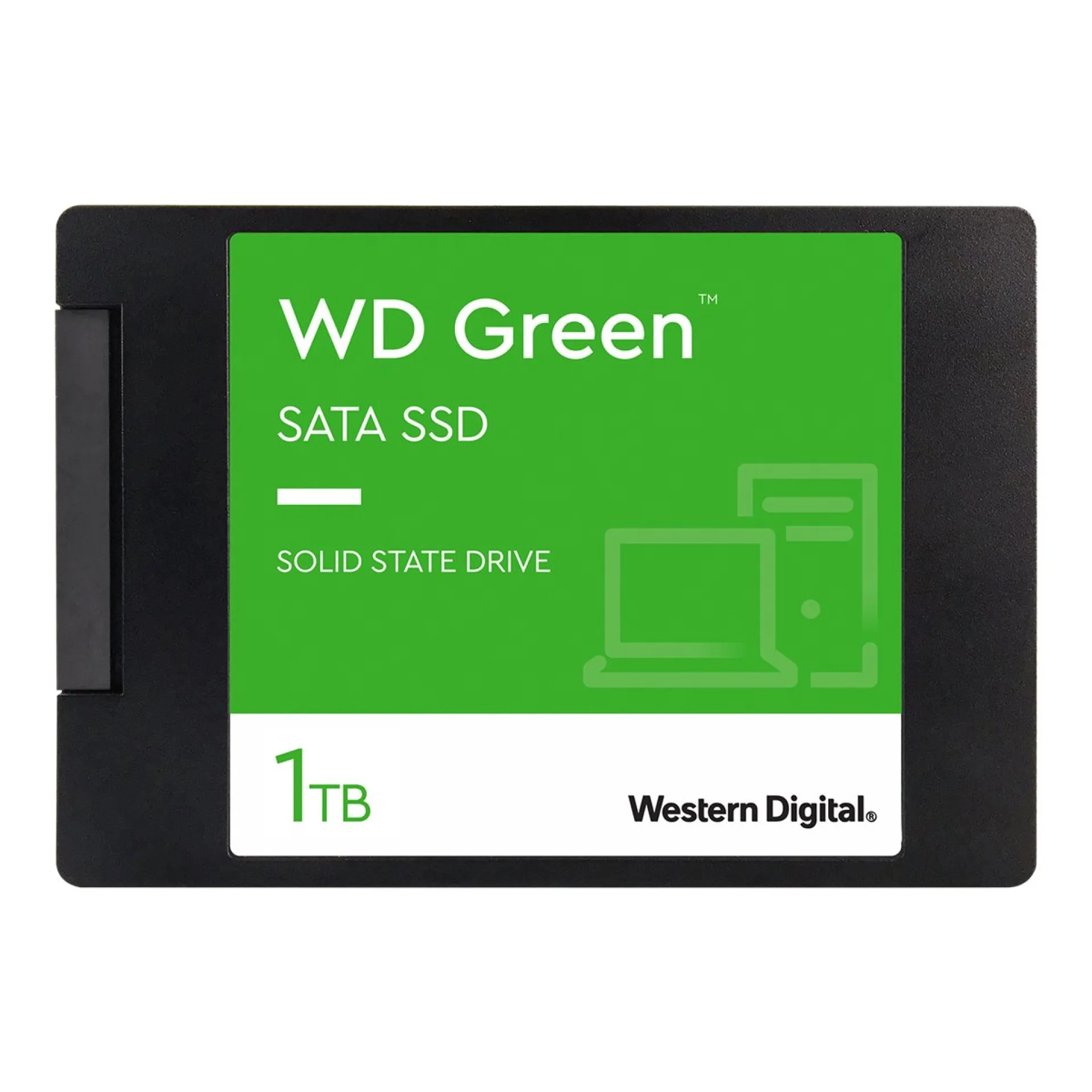 WDS100T2G0A
