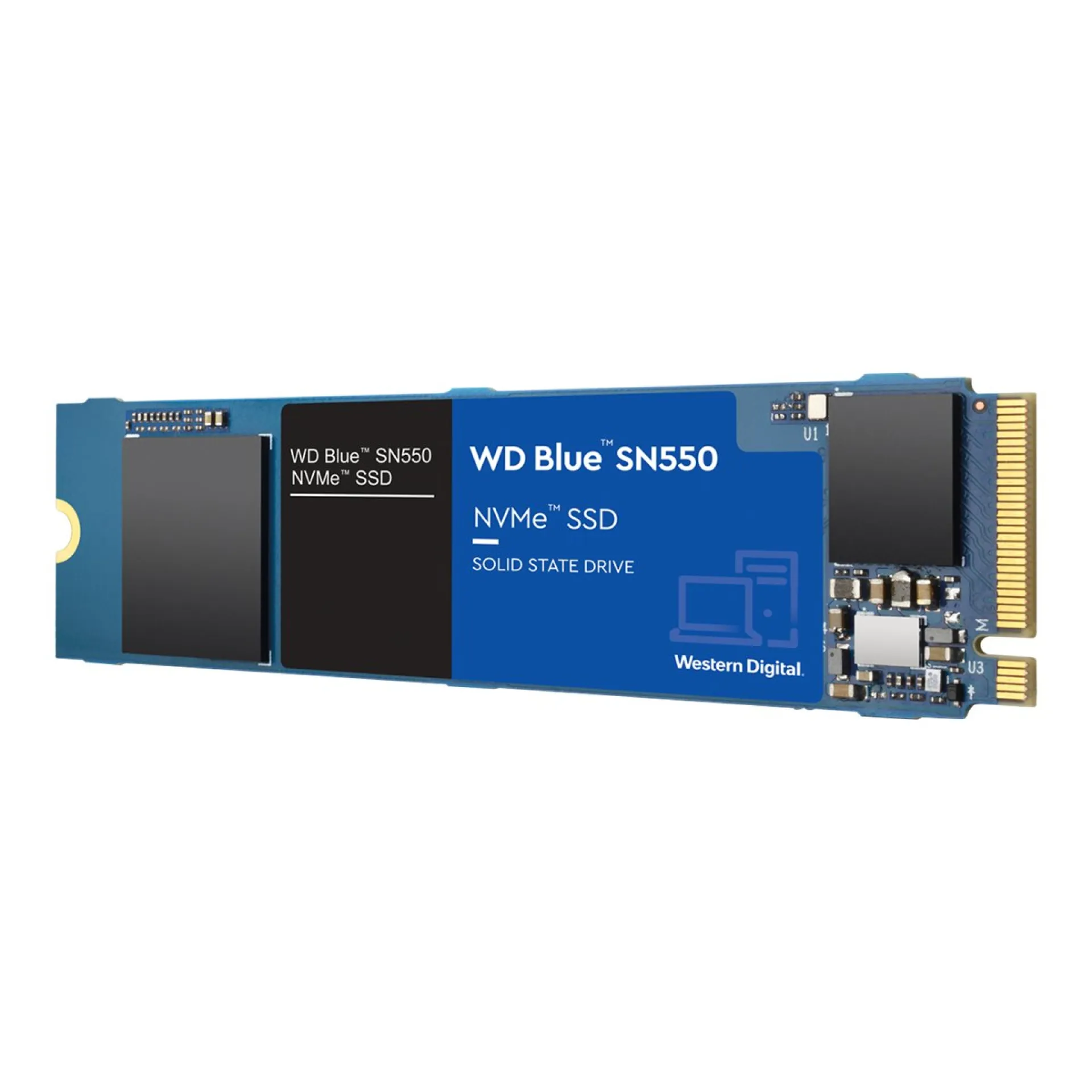 WDS250G2B0C