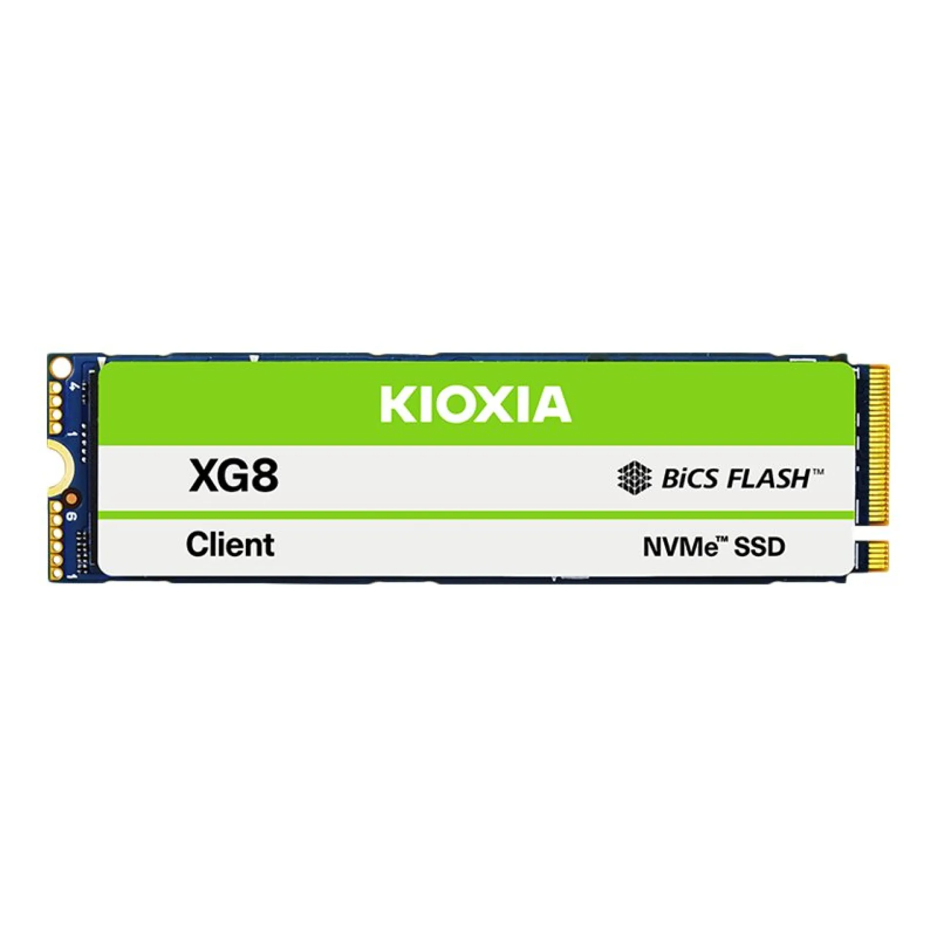 KXG80ZNV512G