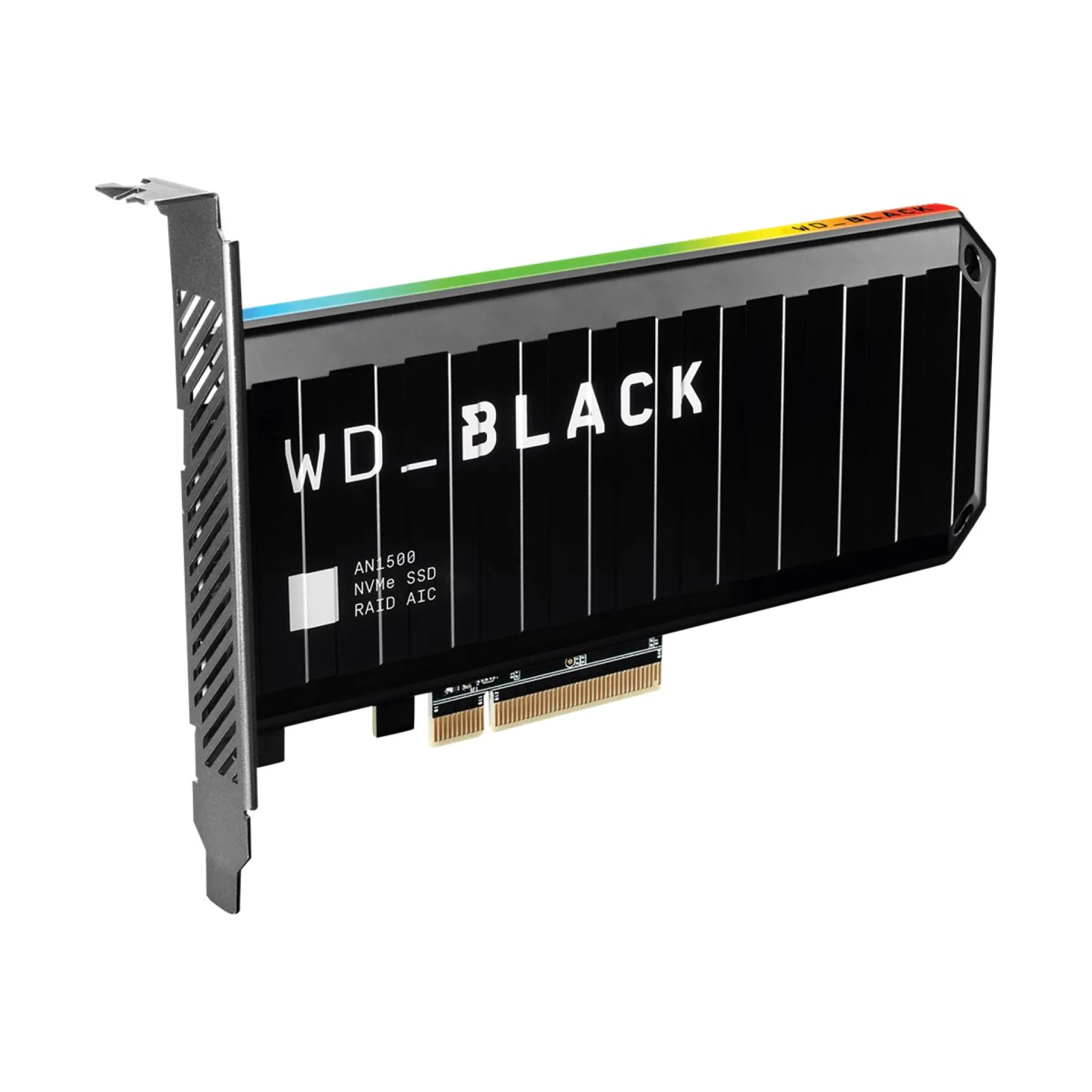 WDS100T1X0L
