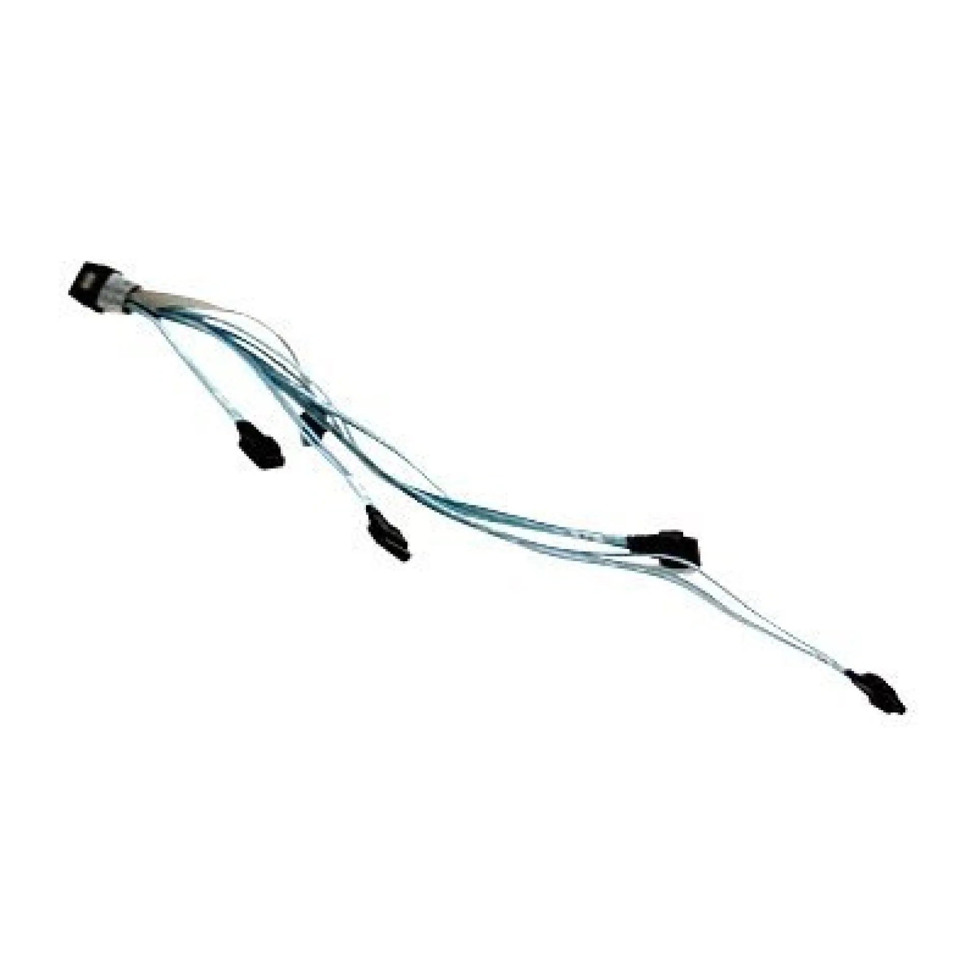 CBL-0176L-01