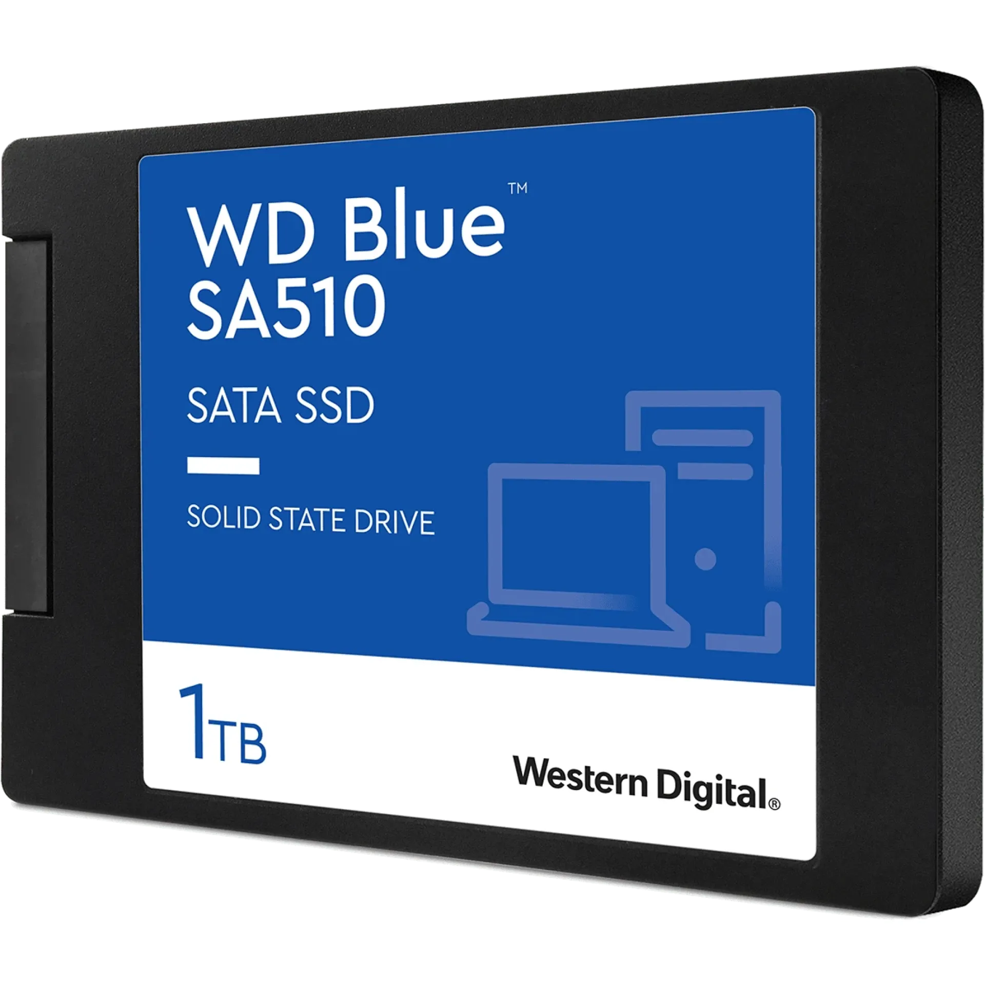 WDS100T3B0A-00AXR0