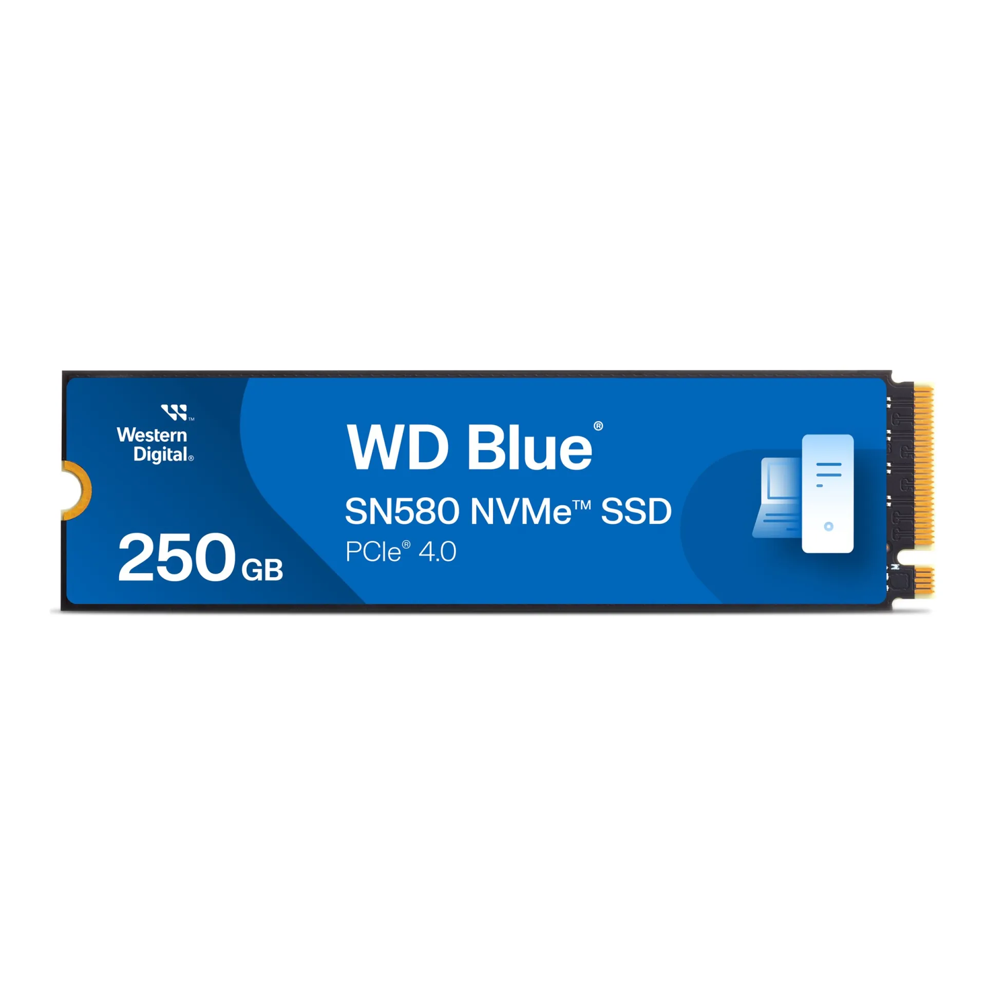 WDS250G3B0E