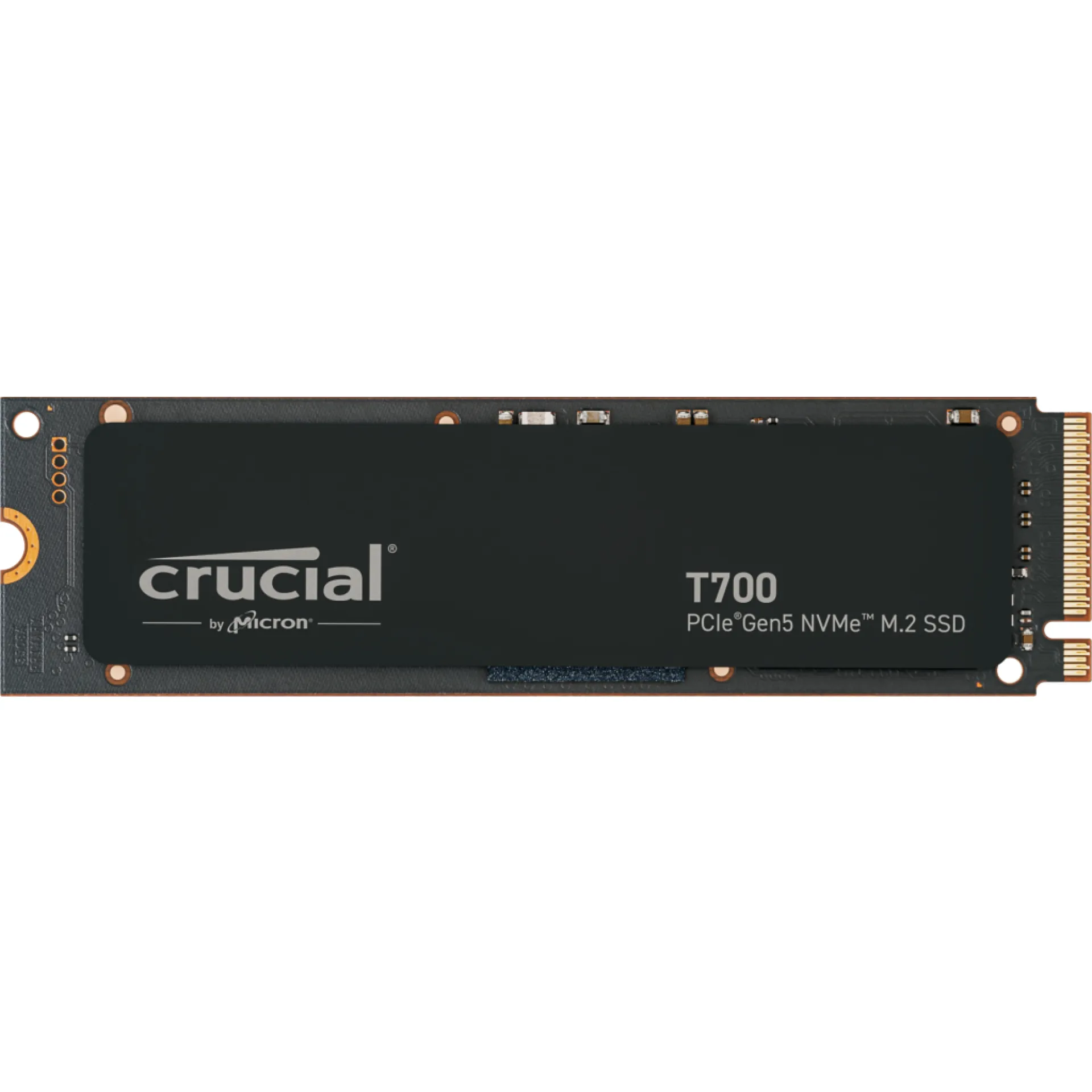 CT1000T700SSD3