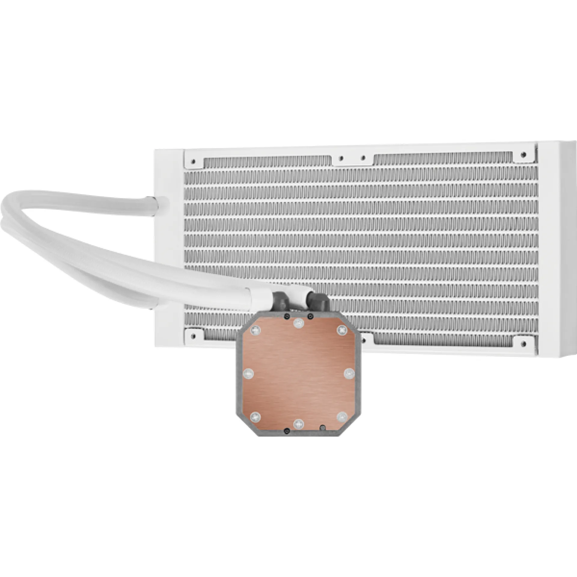 CW-9060050-WW