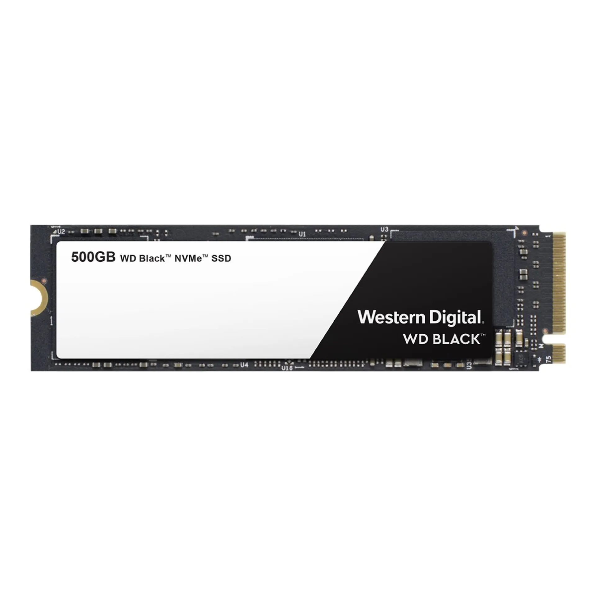 WDS500G2X0C