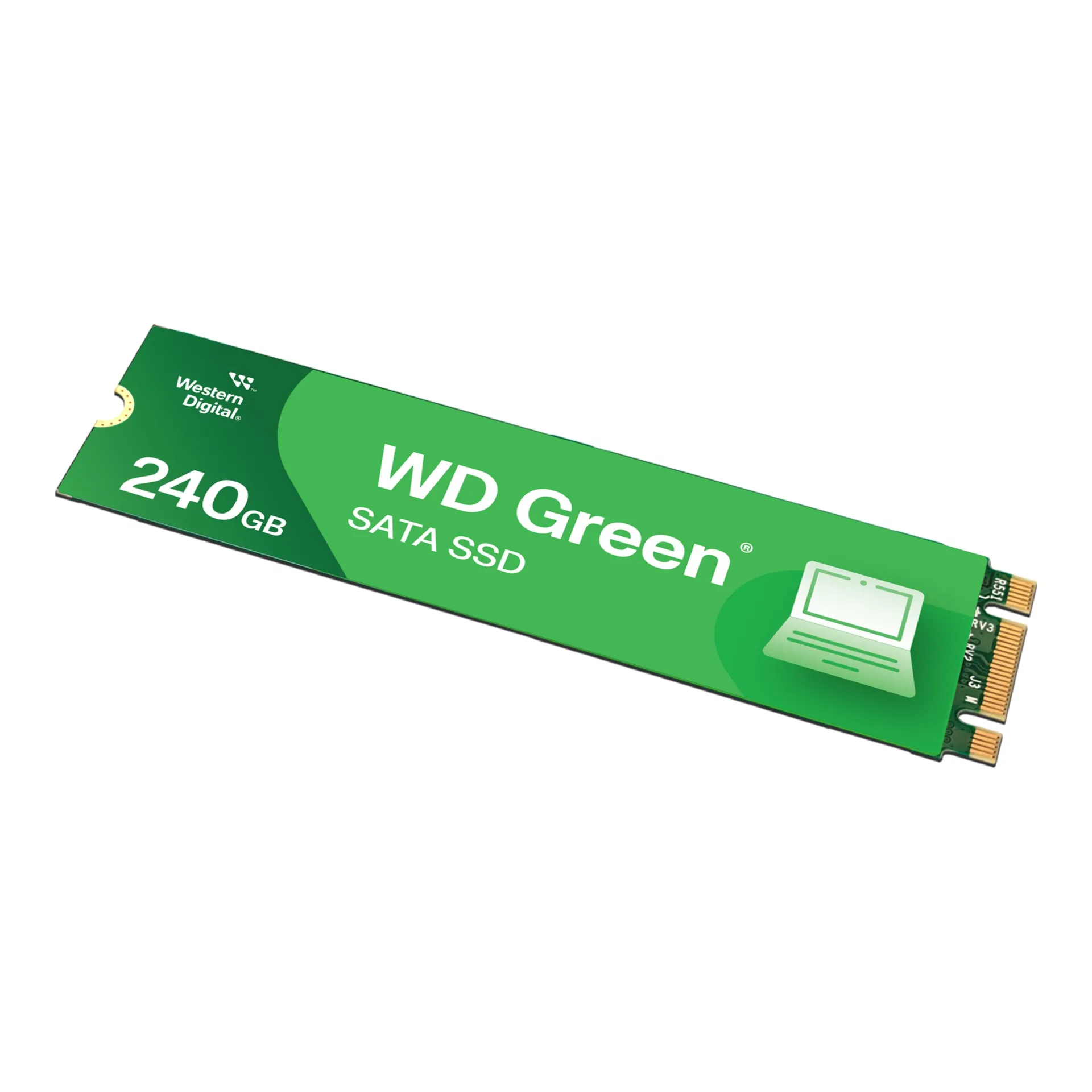 WDS240G3G0B