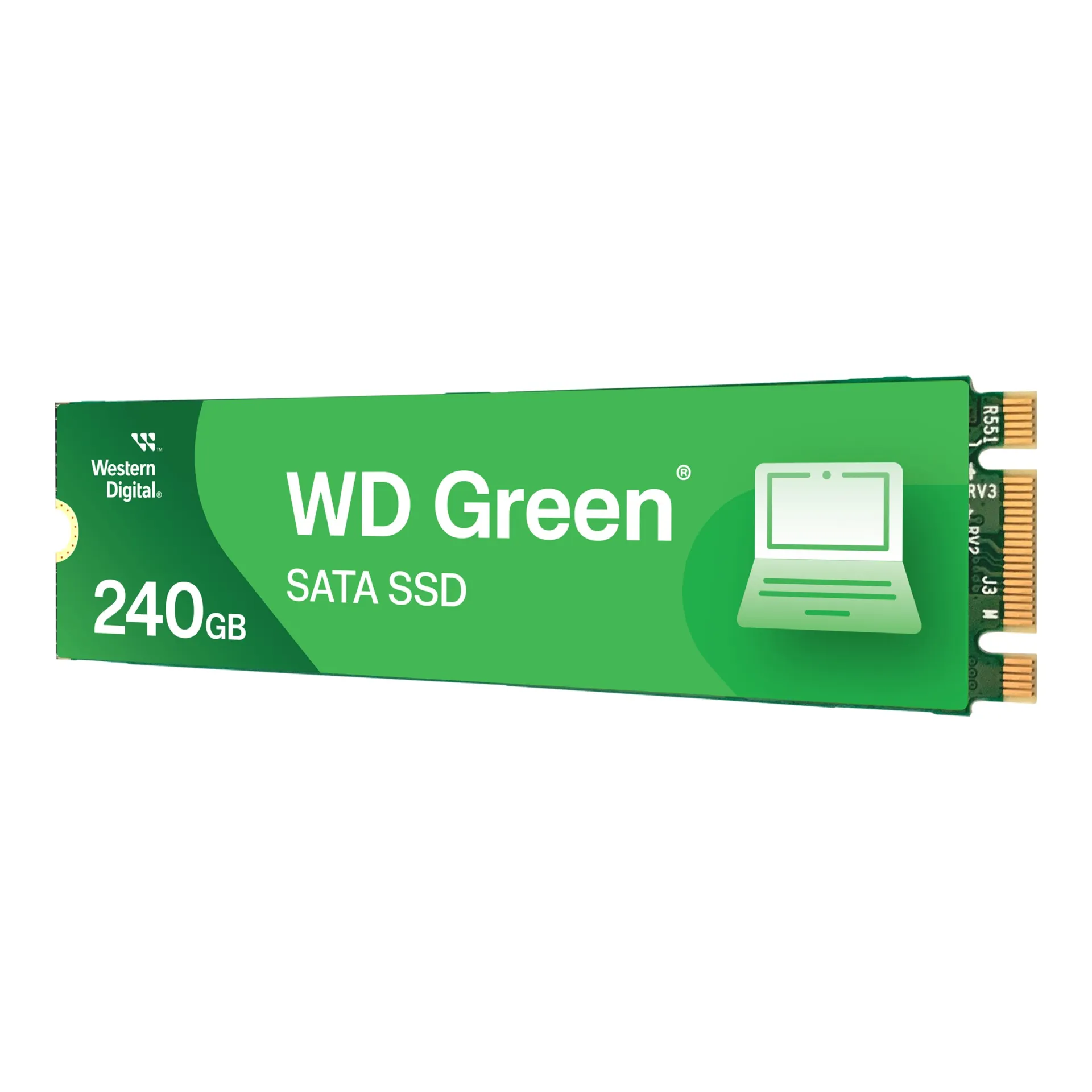WDS240G3G0B