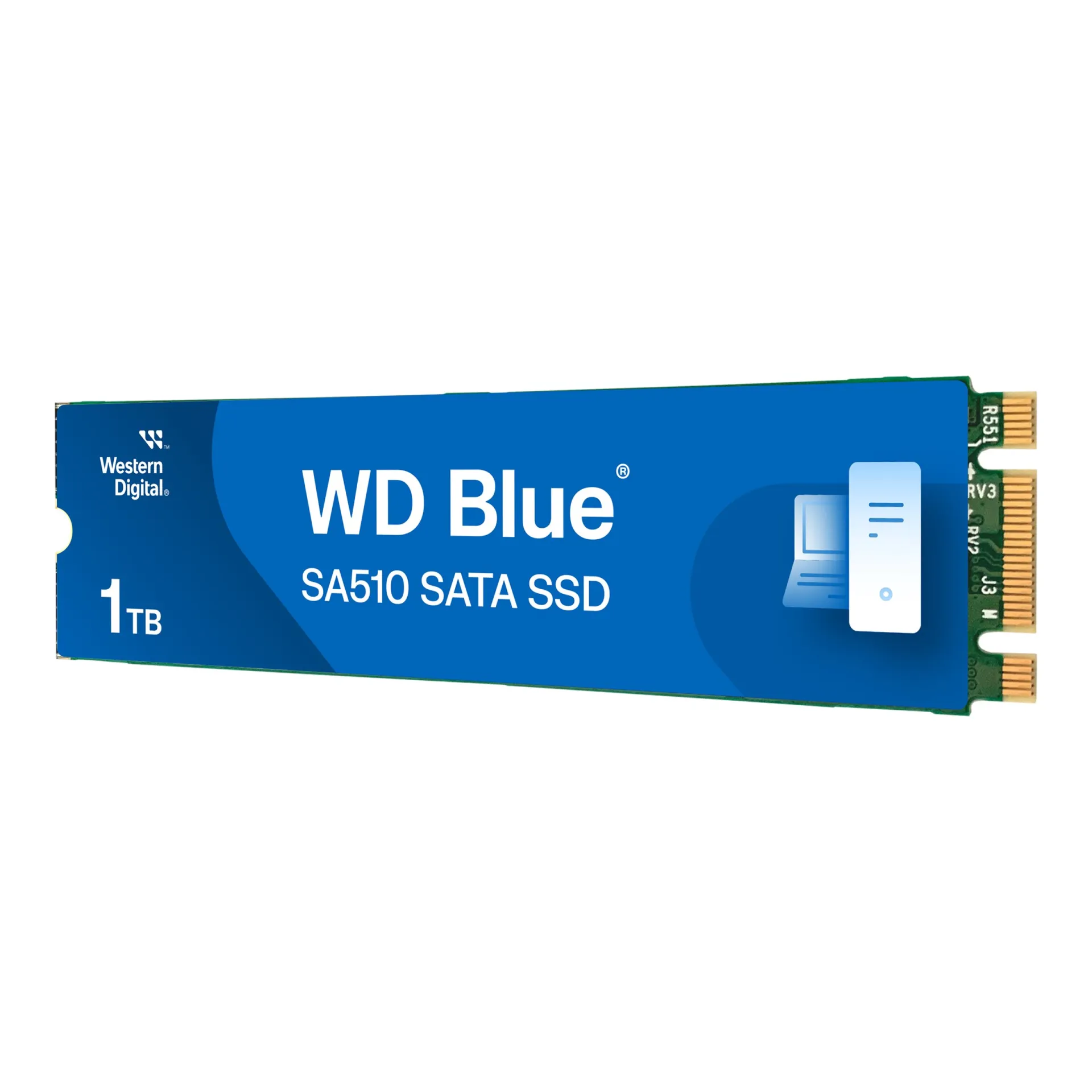 WDS100T3B0B