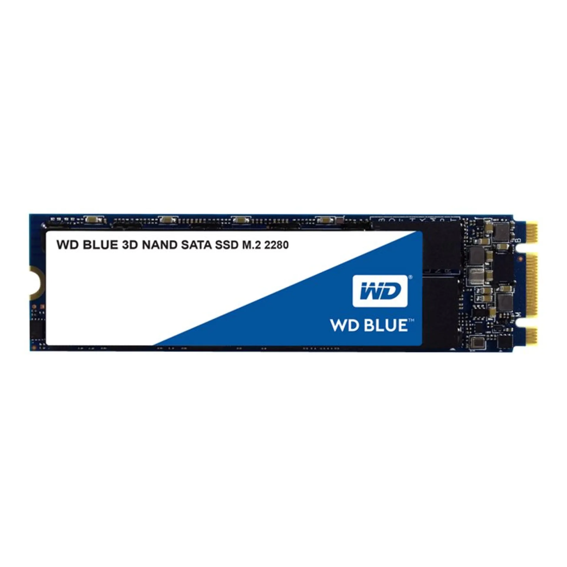 WDS250G1B0B