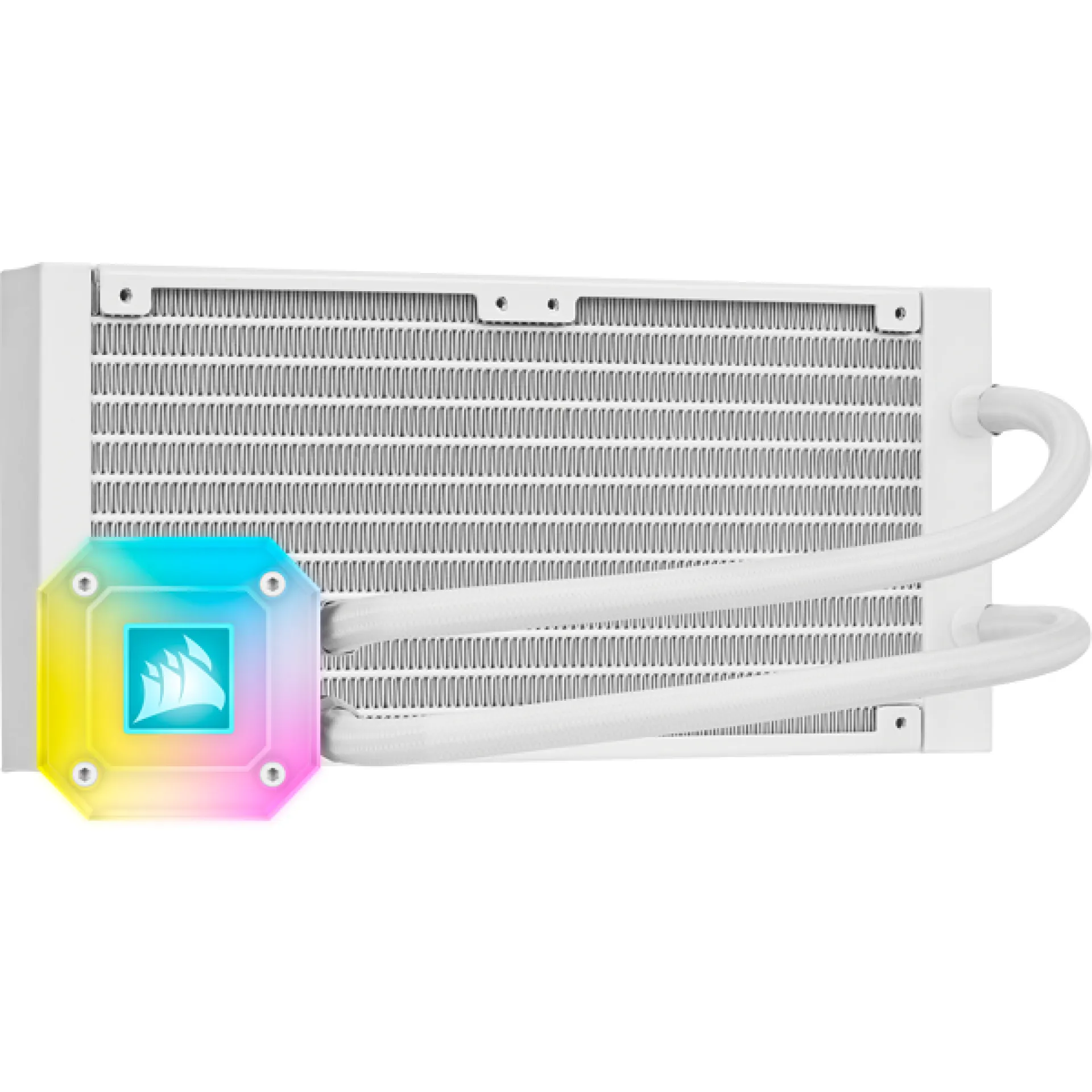 CW-9060050-WW