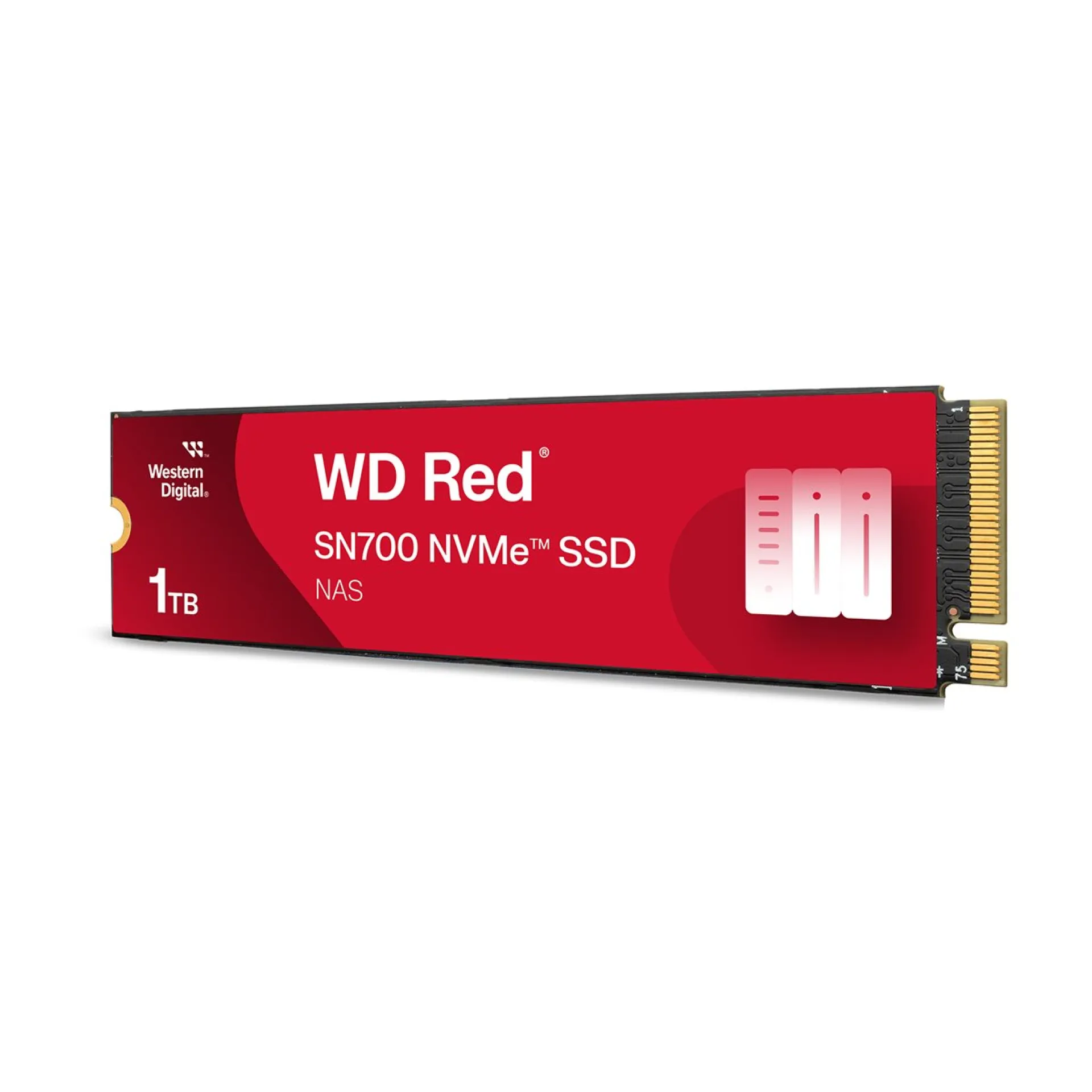 WDS100T1R0C