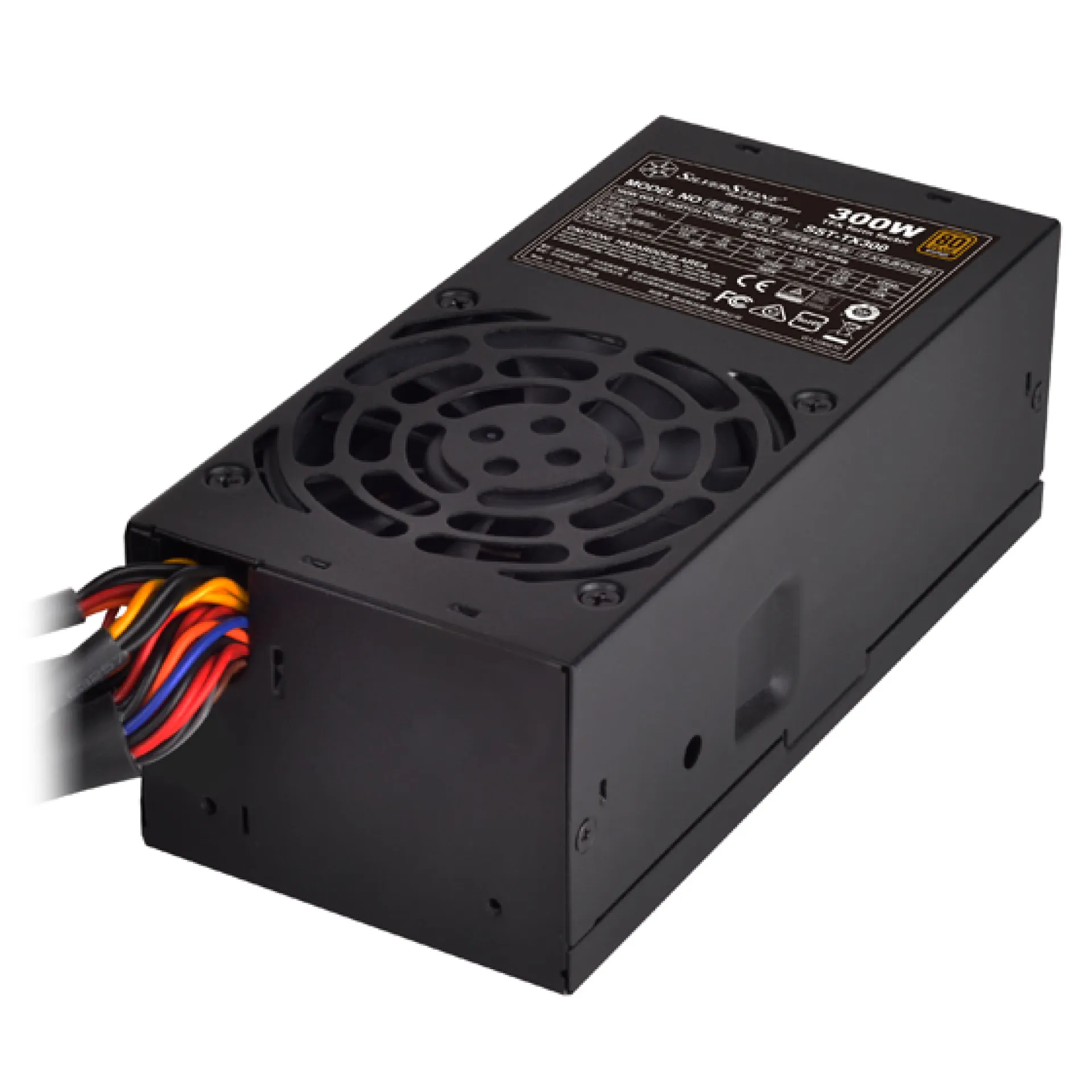 SST-TX300