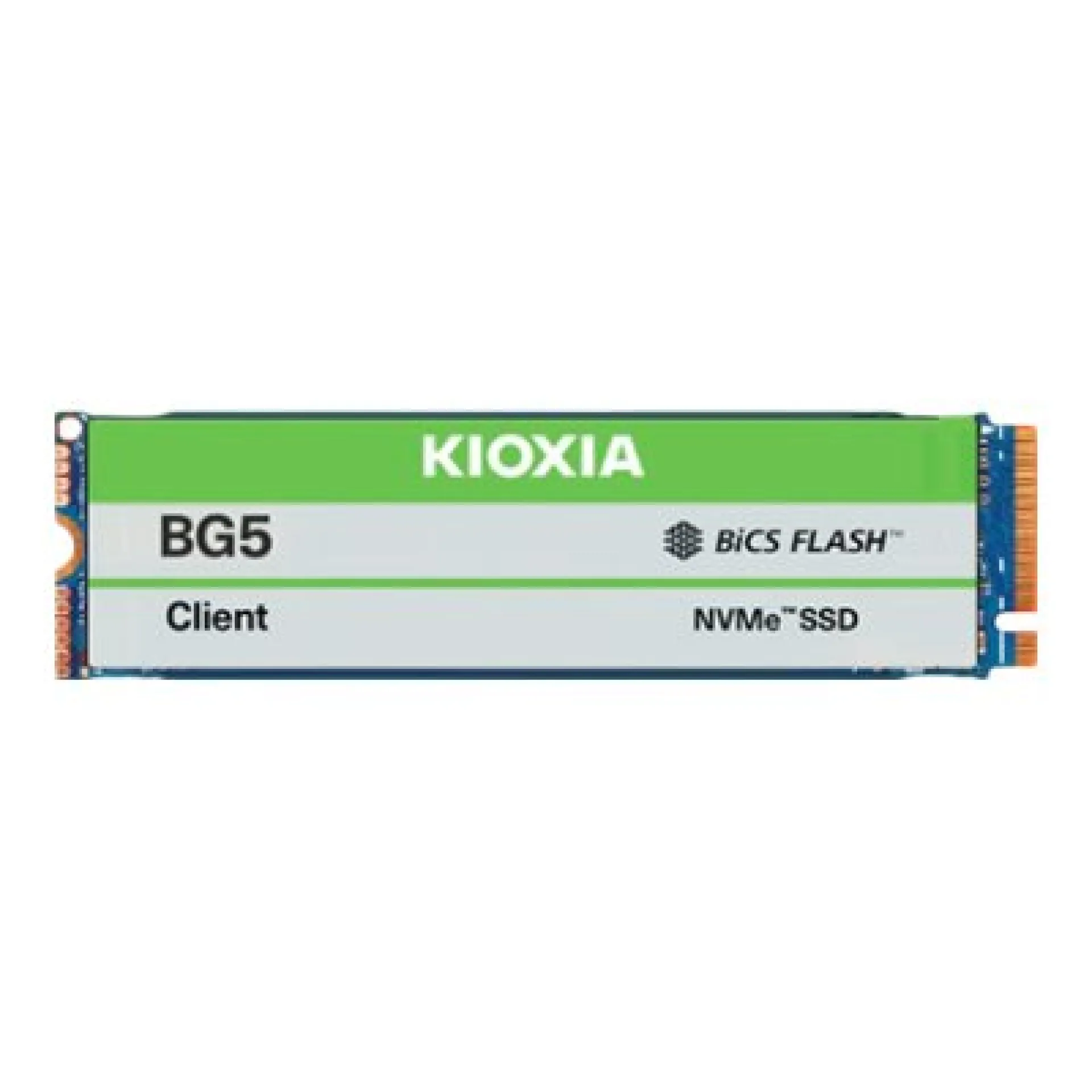 KBG50ZNV512G