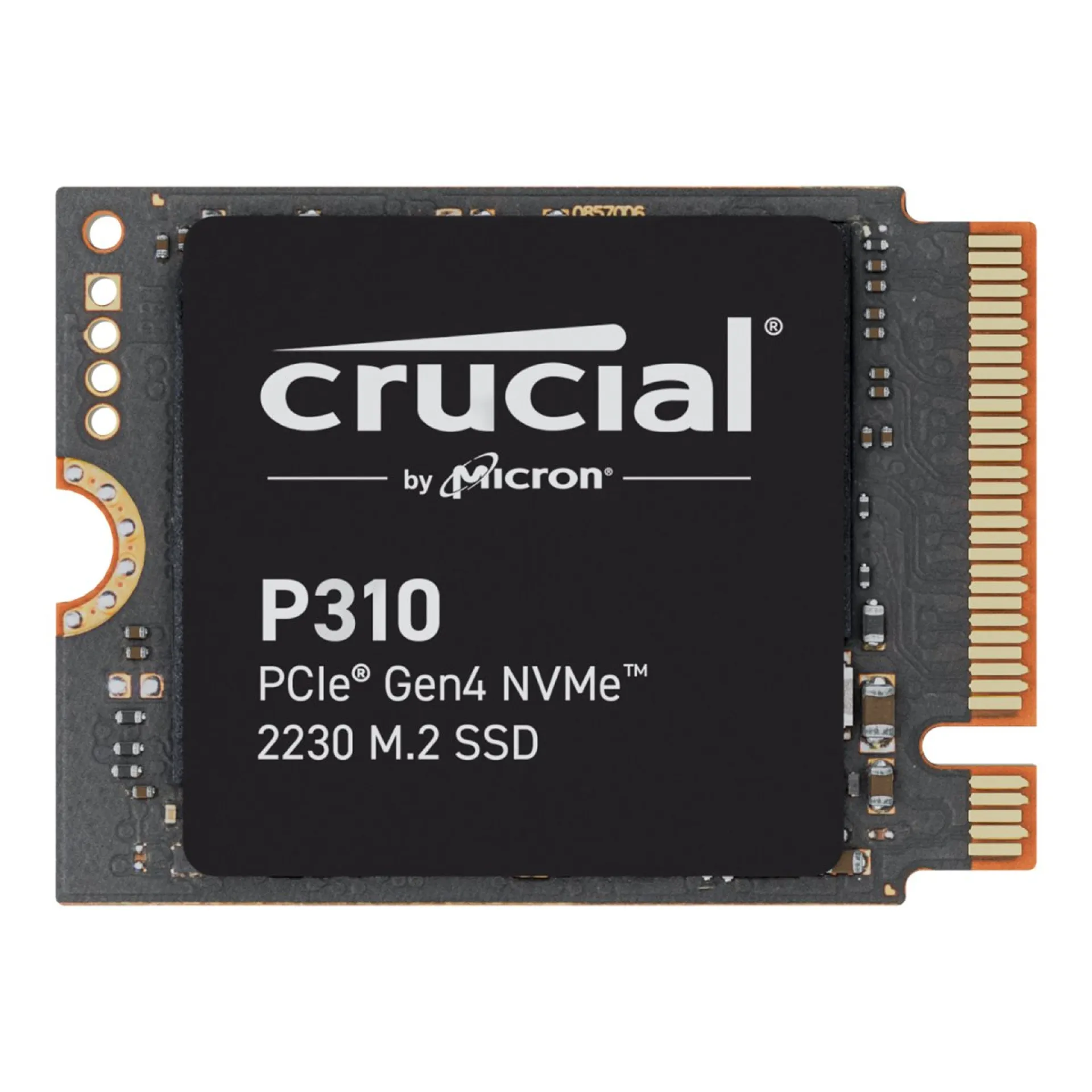 CT1000P310SSD2