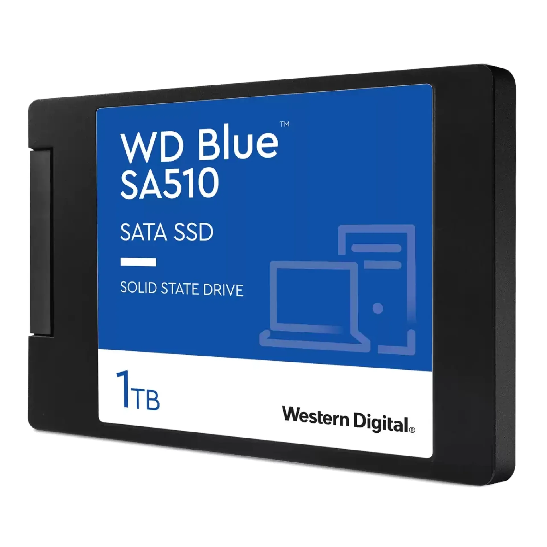 WDS100T3B0A