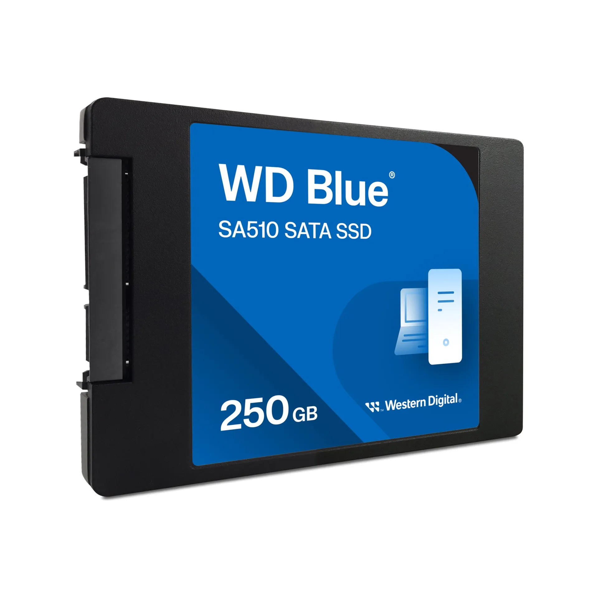 WDS250G3B0A