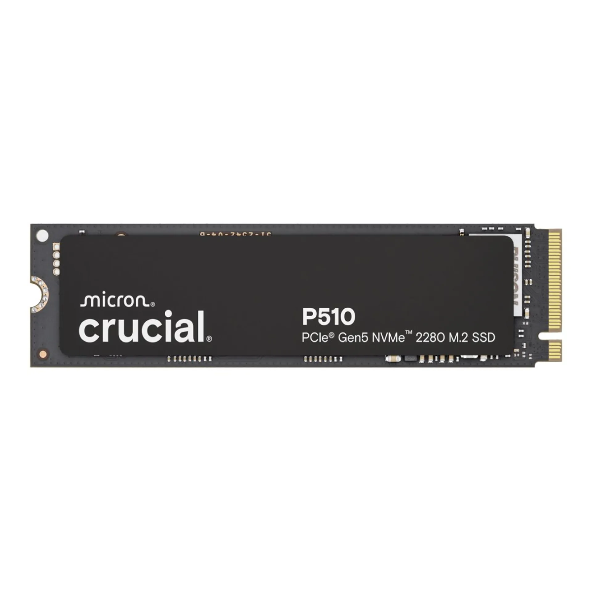 CT1000P510SSD8