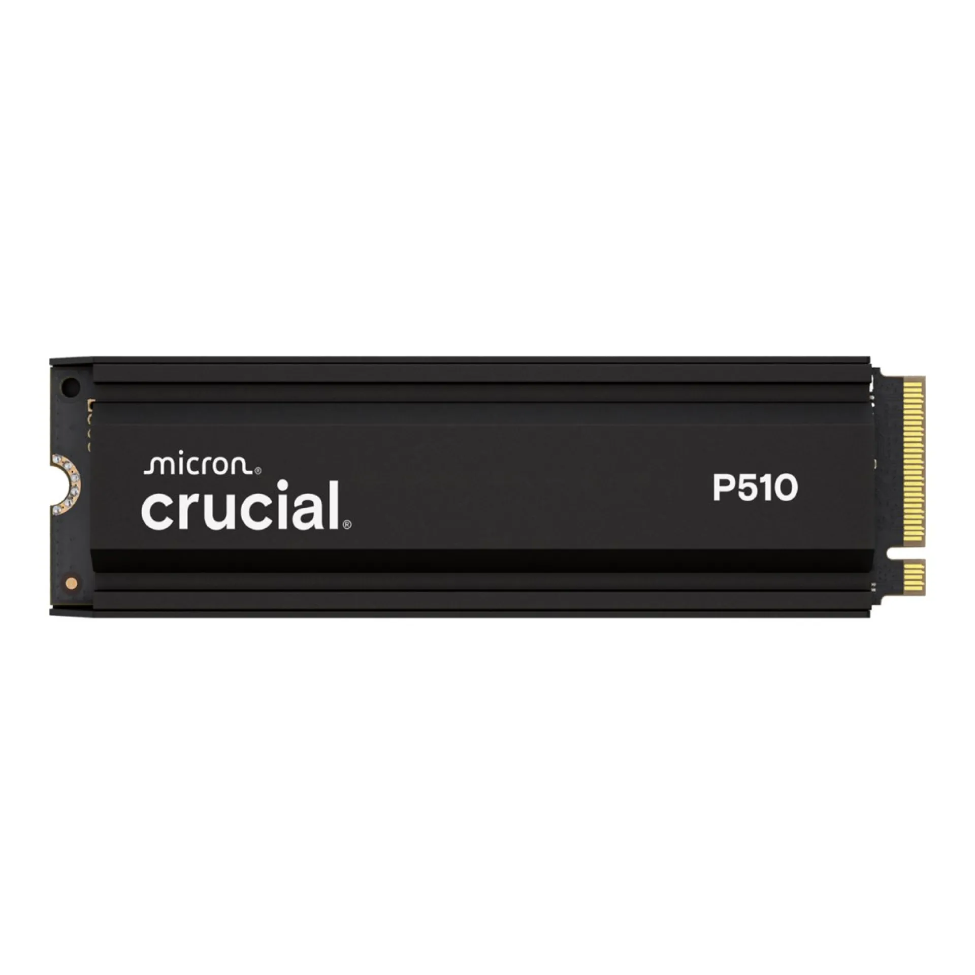 CT1000P510SSD5