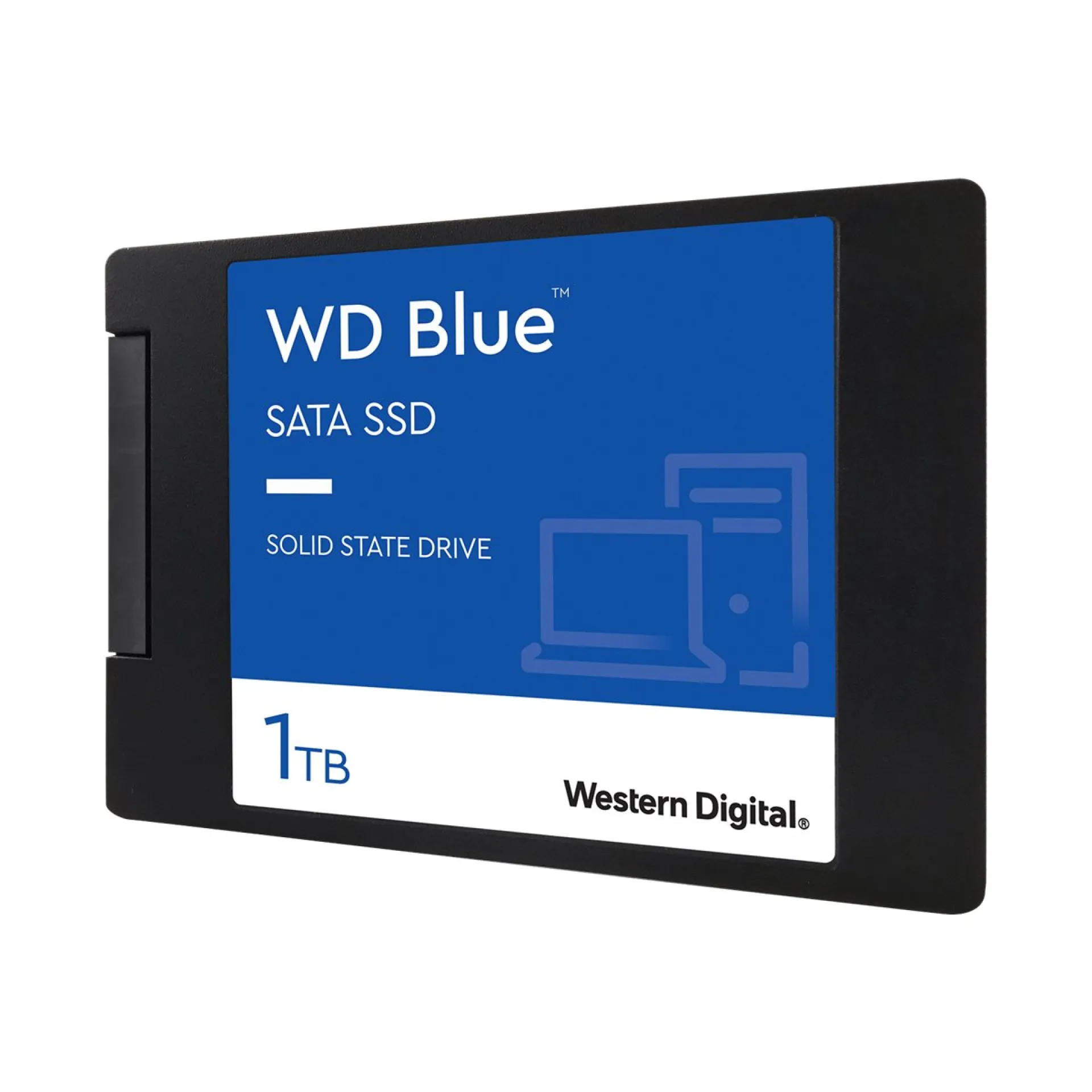 WDS100T2B0A