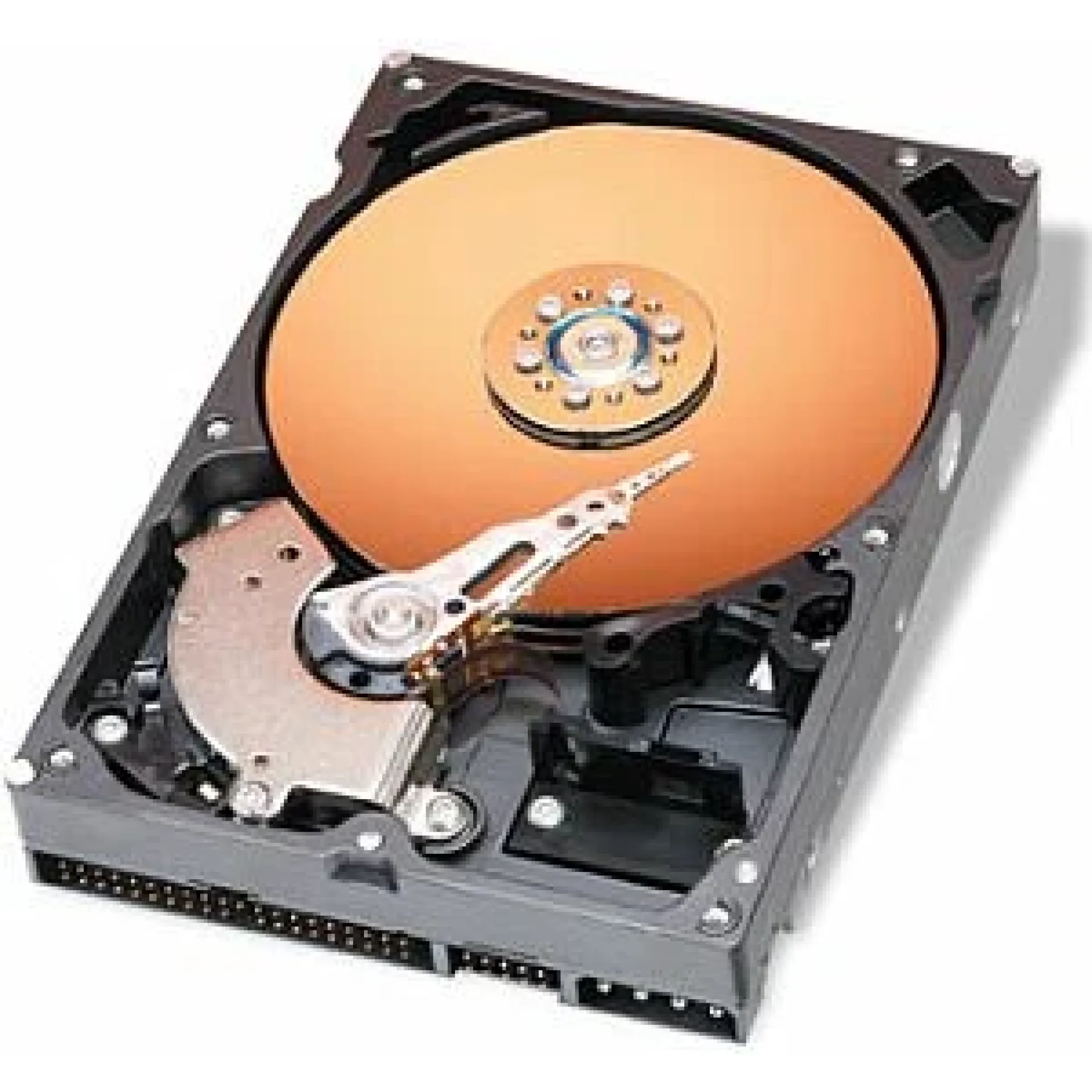 WD800LB