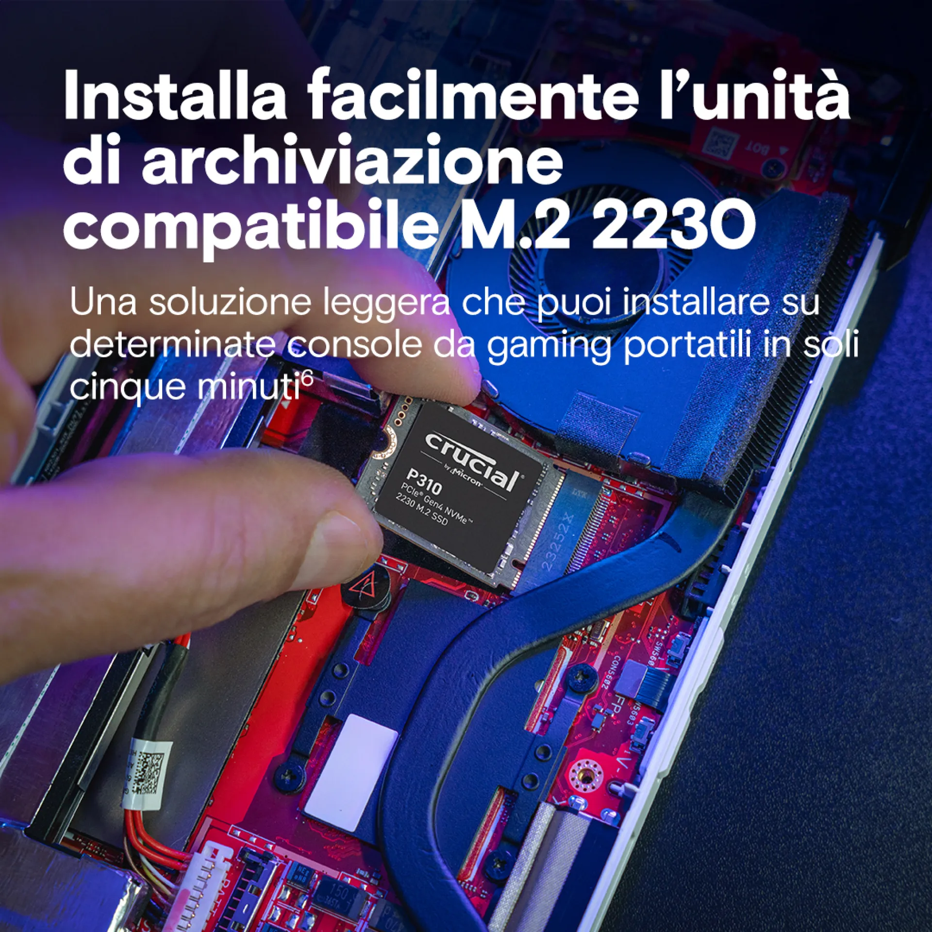 CT1000P310SSD2