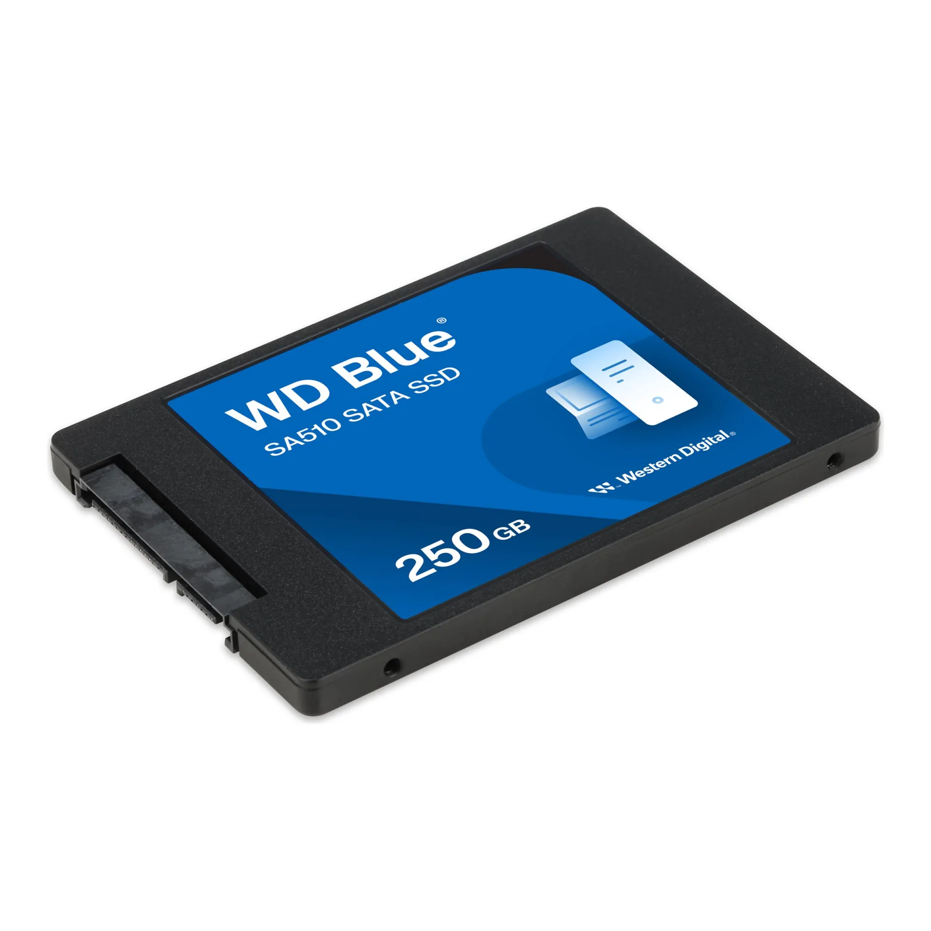 WDS250G3B0A