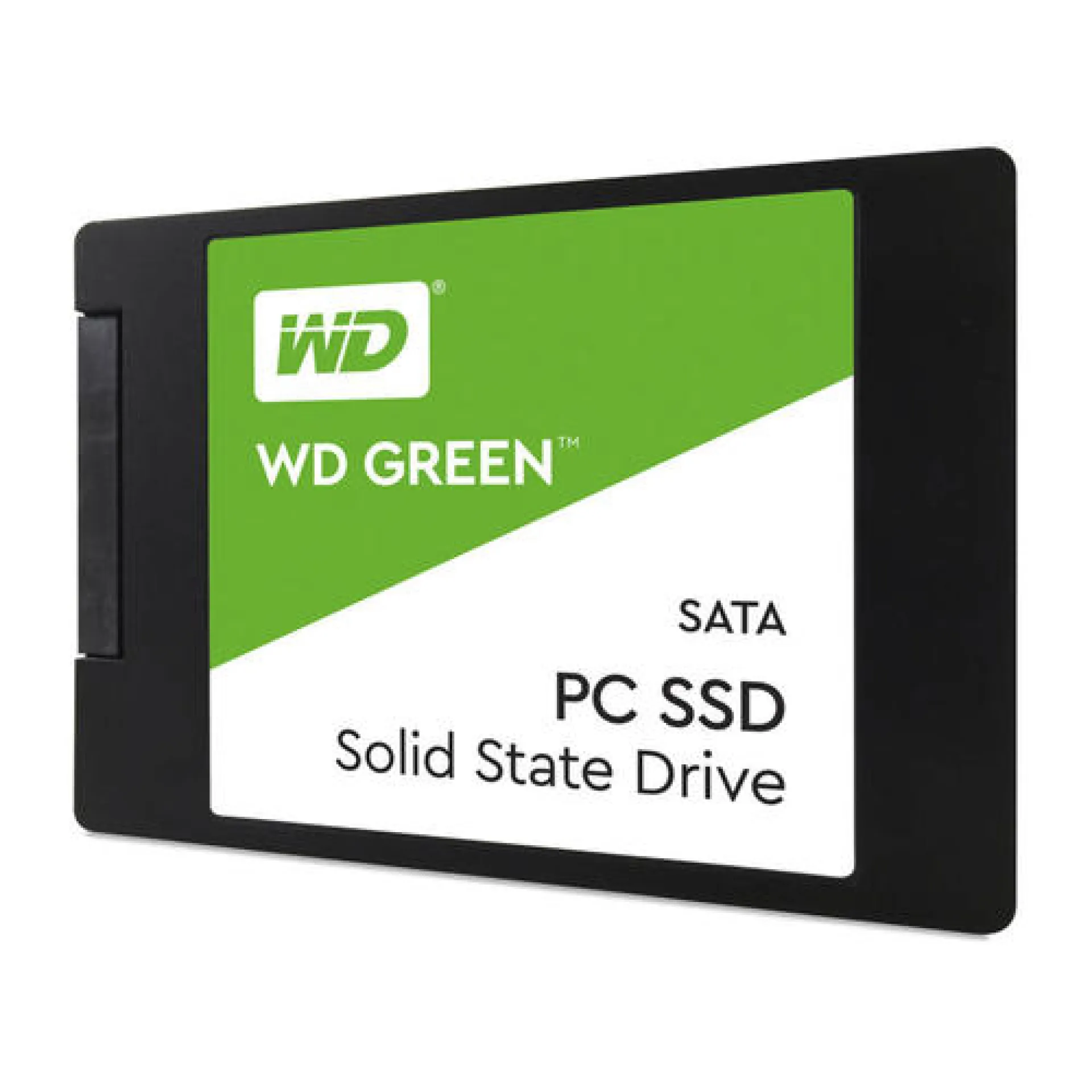 WDS100T2G0A