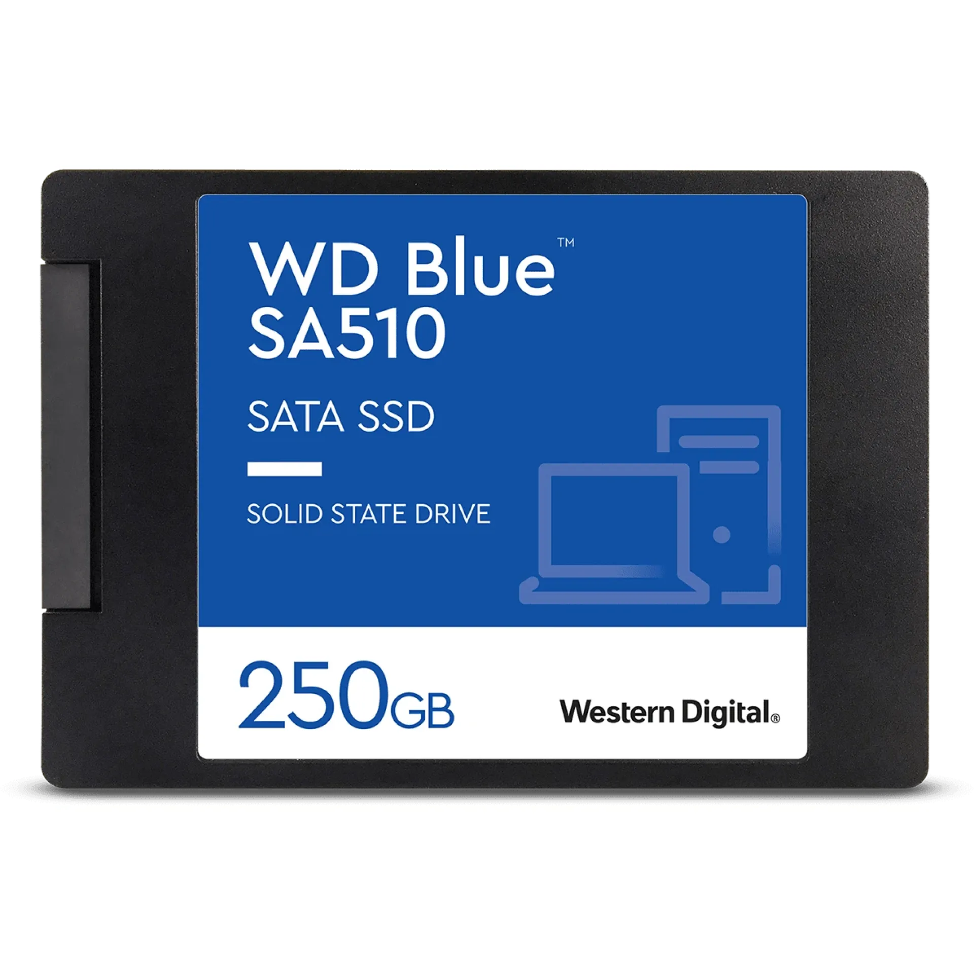 WDS250G3B0A-00AXR0