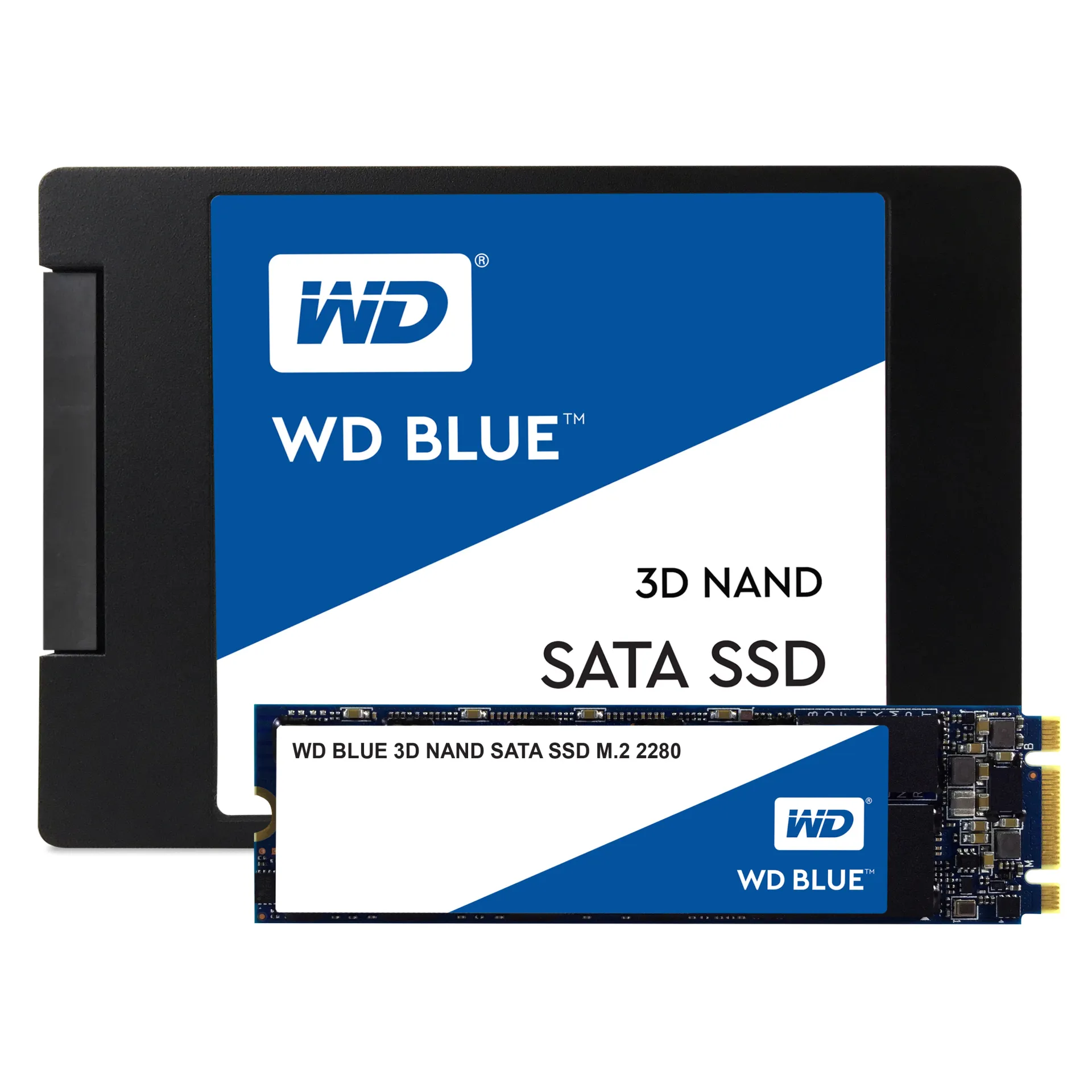 WDS100T2B0B