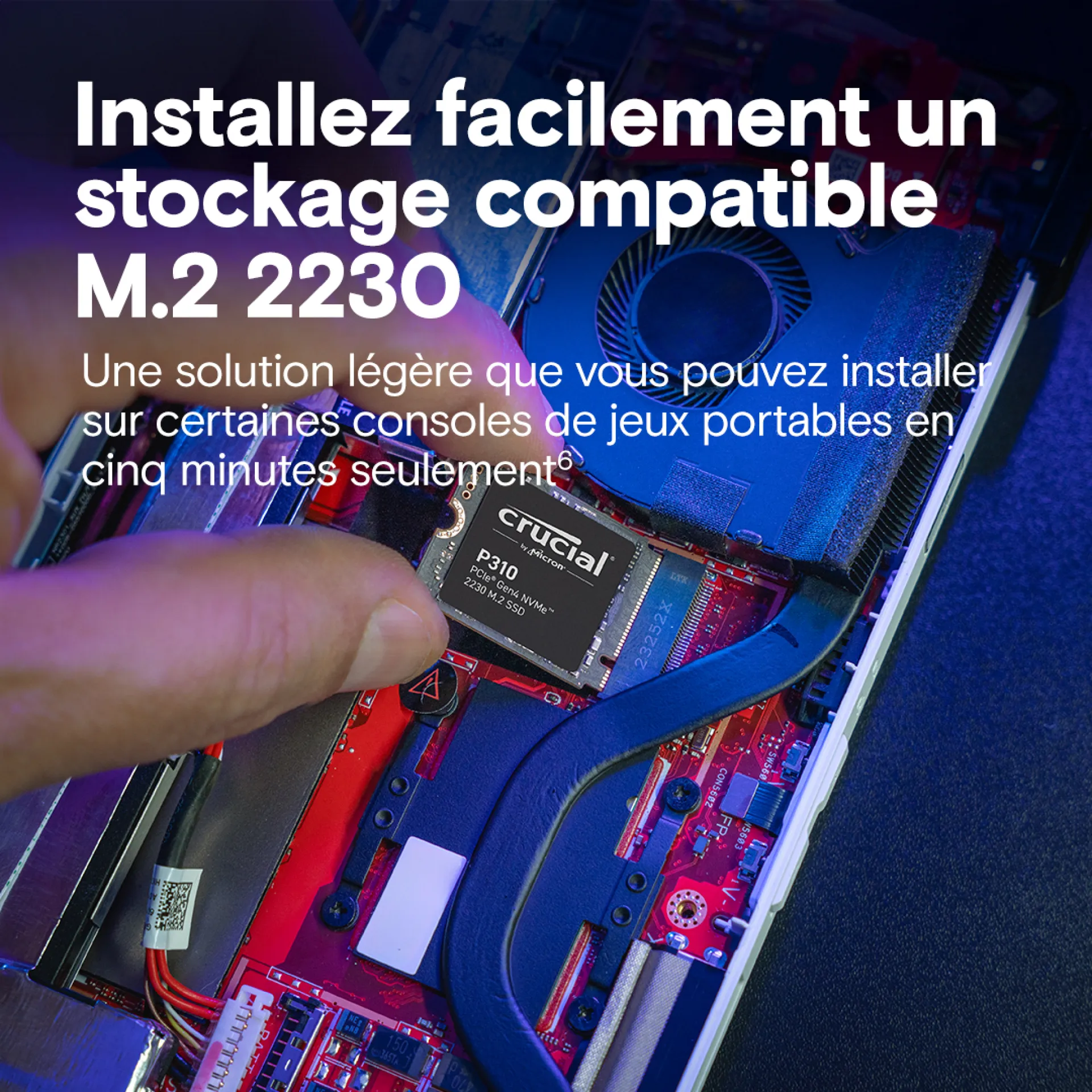 CT1000P310SSD2