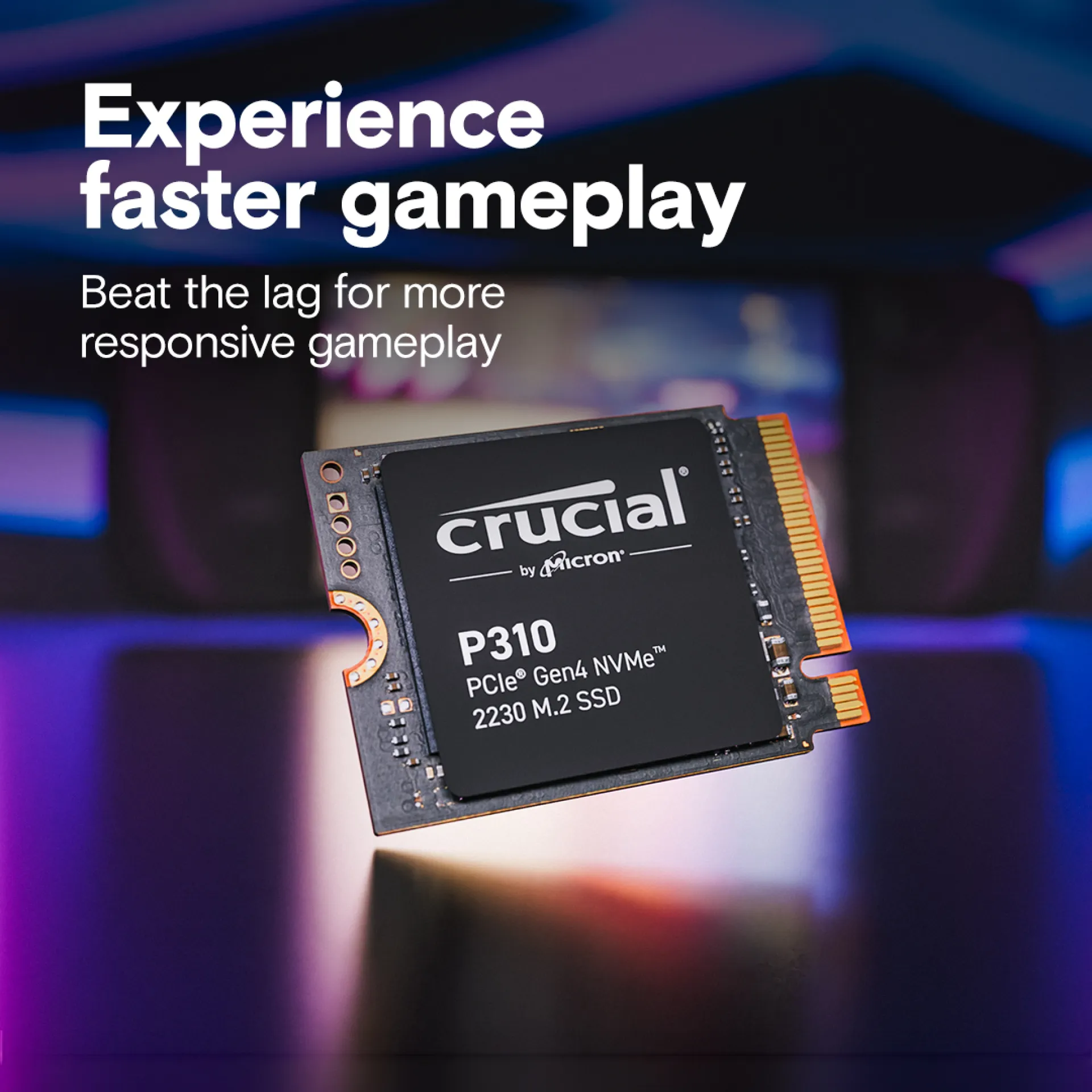 CT1000P310SSD2