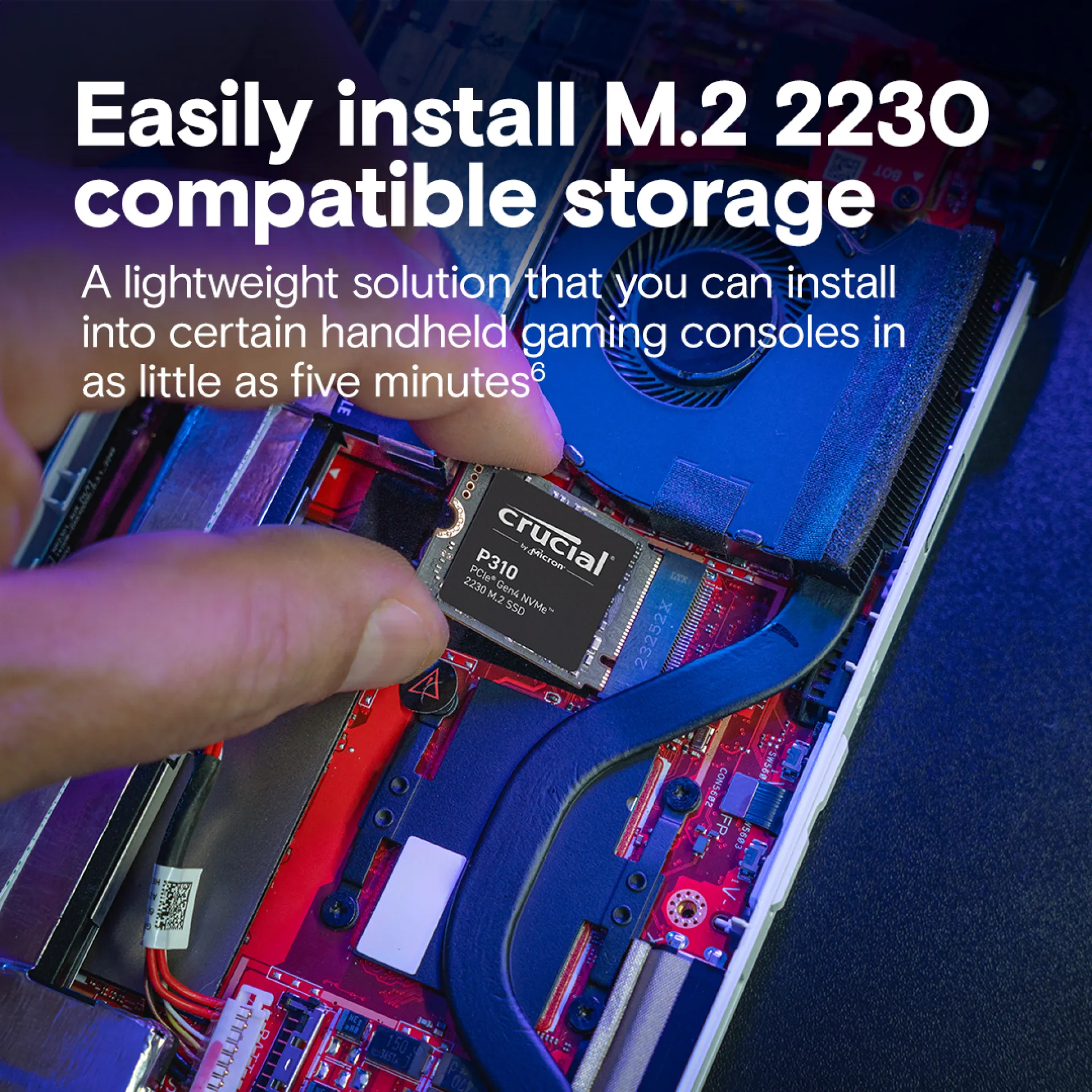 CT1000P310SSD2