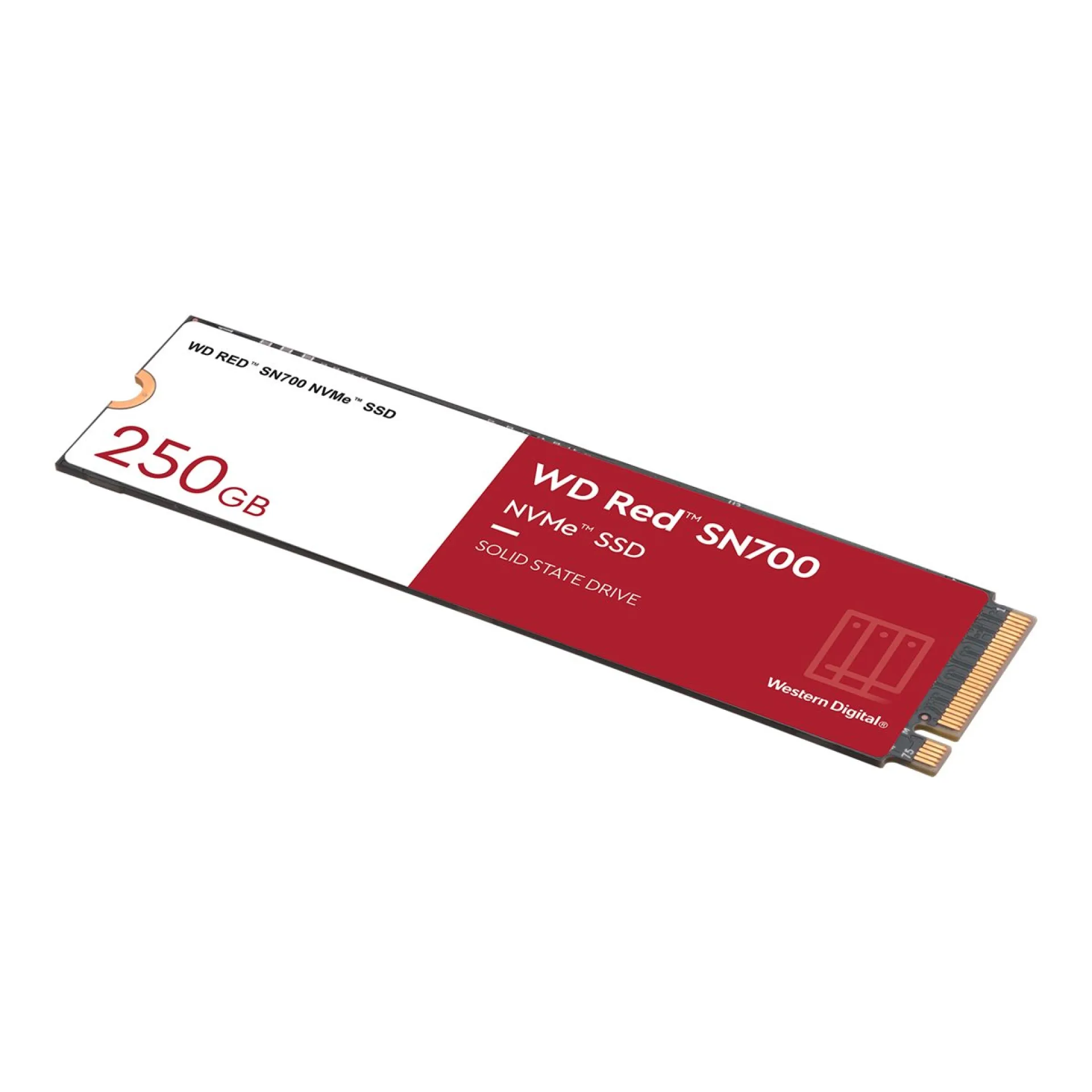 WDS250G1R0C