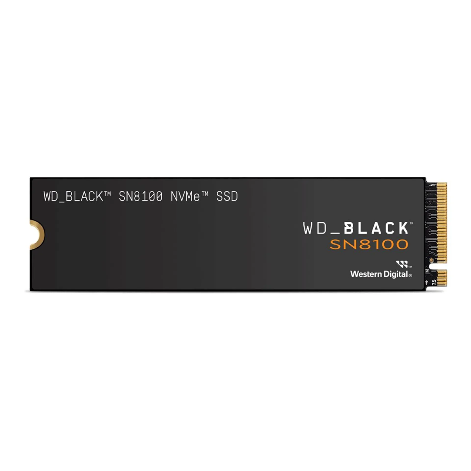 WDS100T1X0M-00CMT0