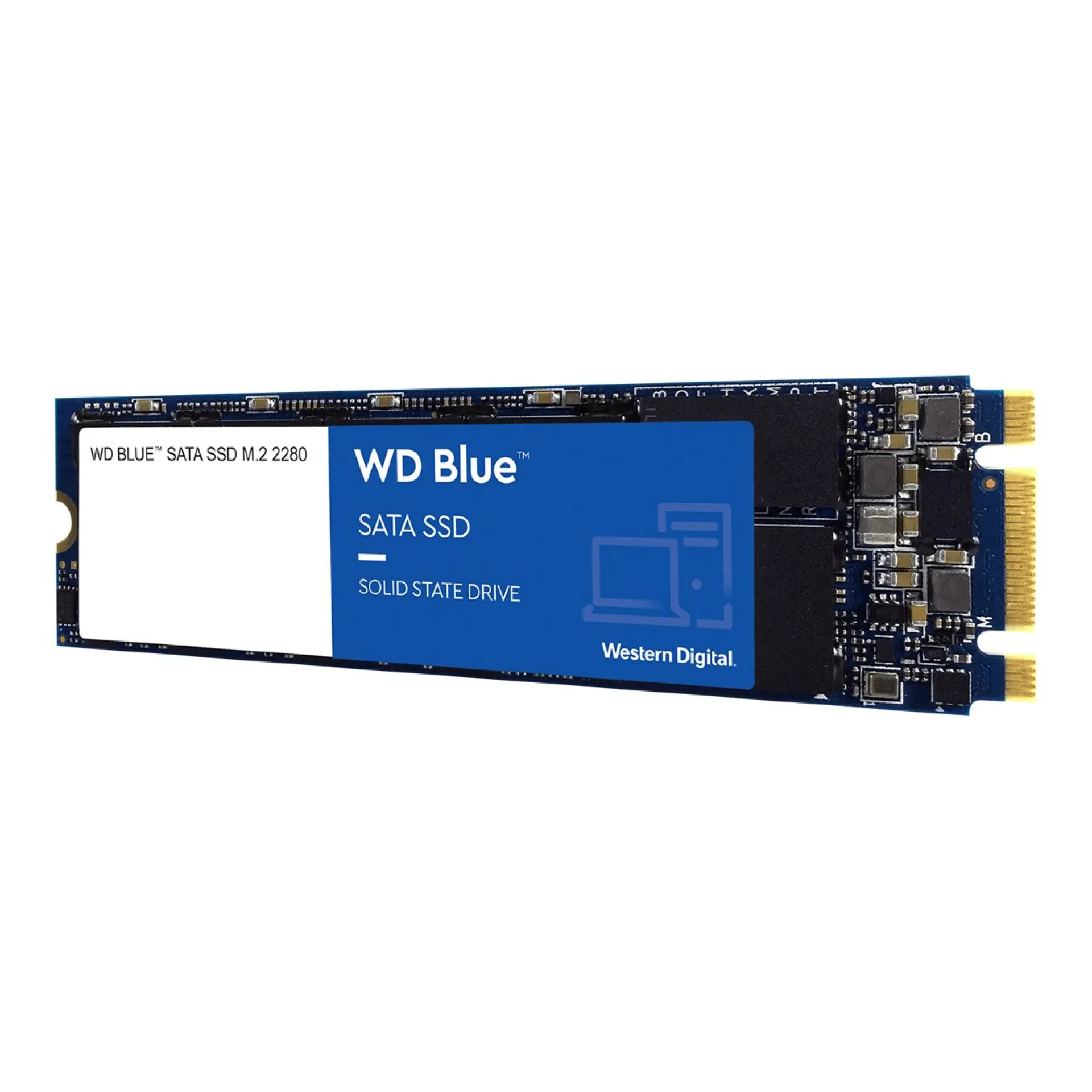 WDS250G1B0B