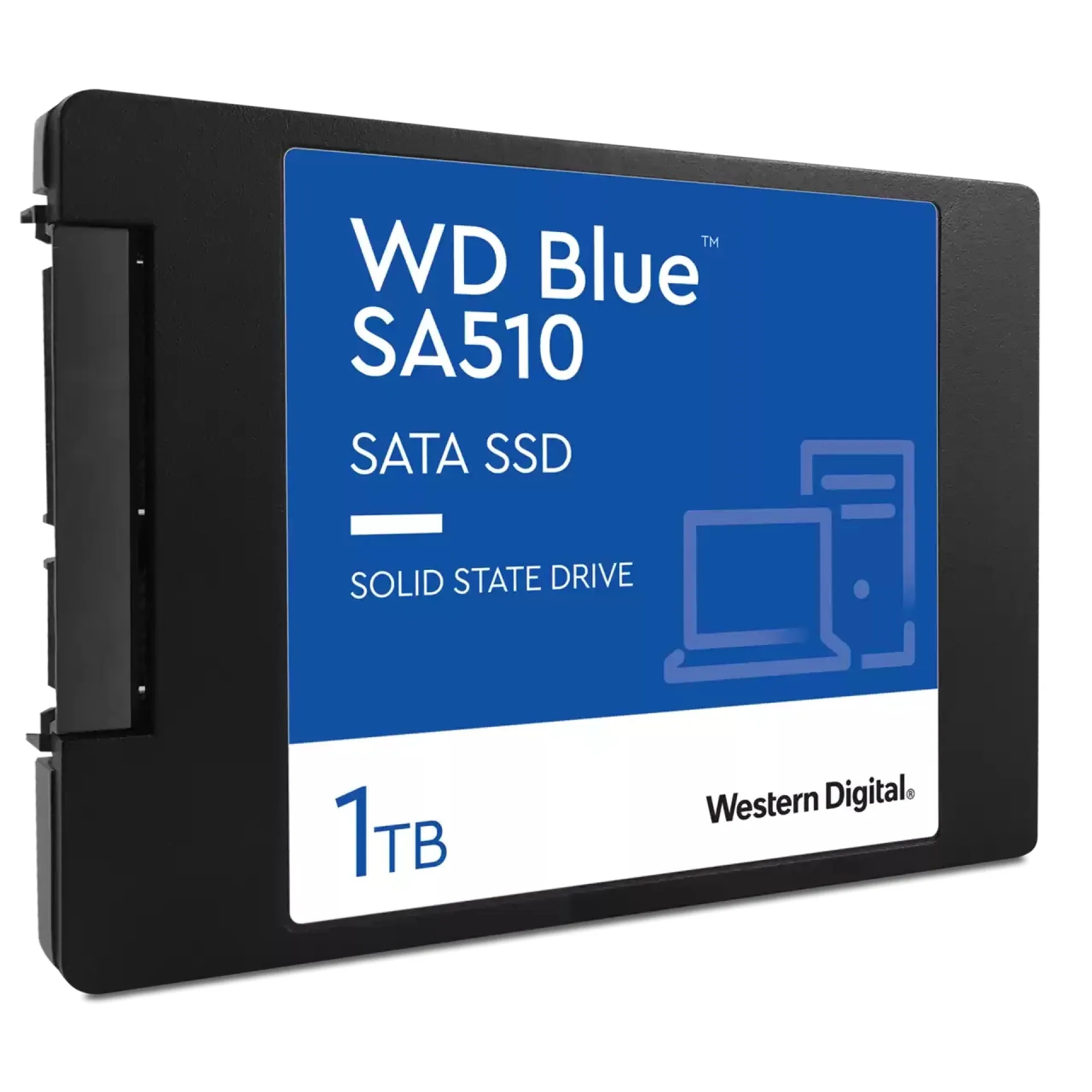 WDS100T3B0A