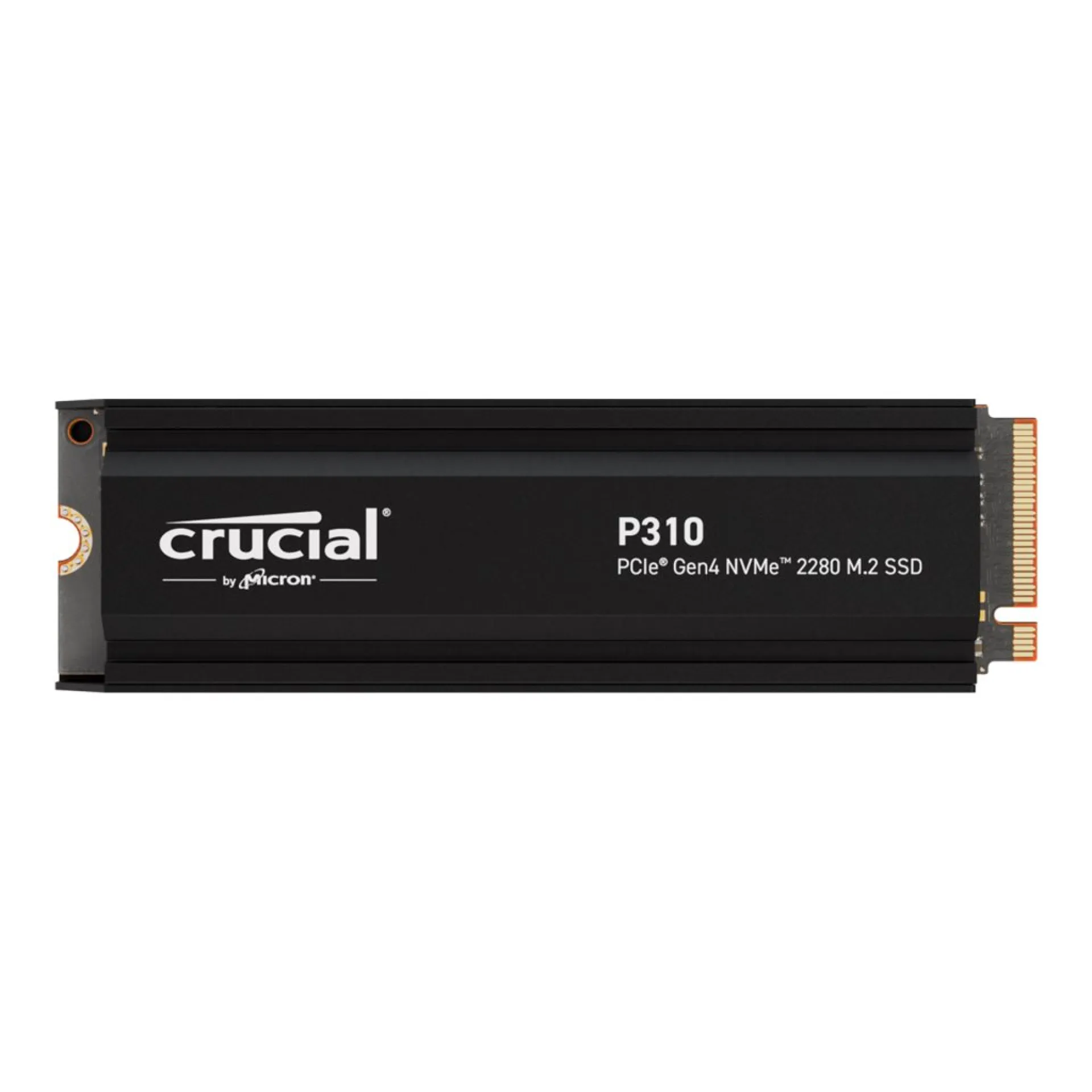 CT1000P310SSD5
