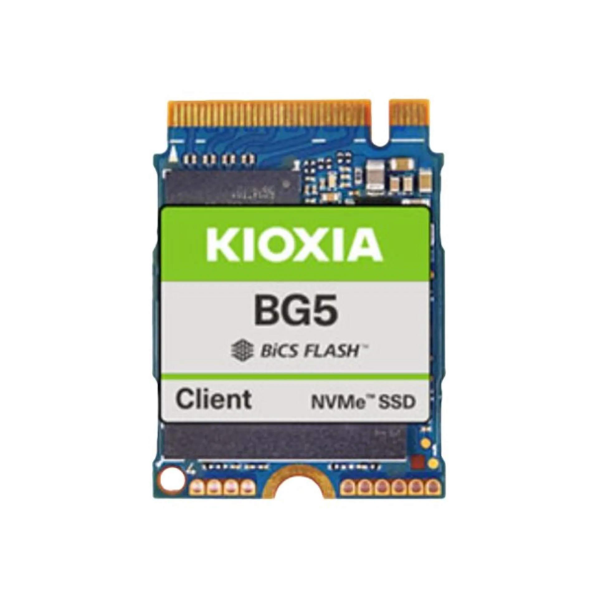 KBG50ZNS512G