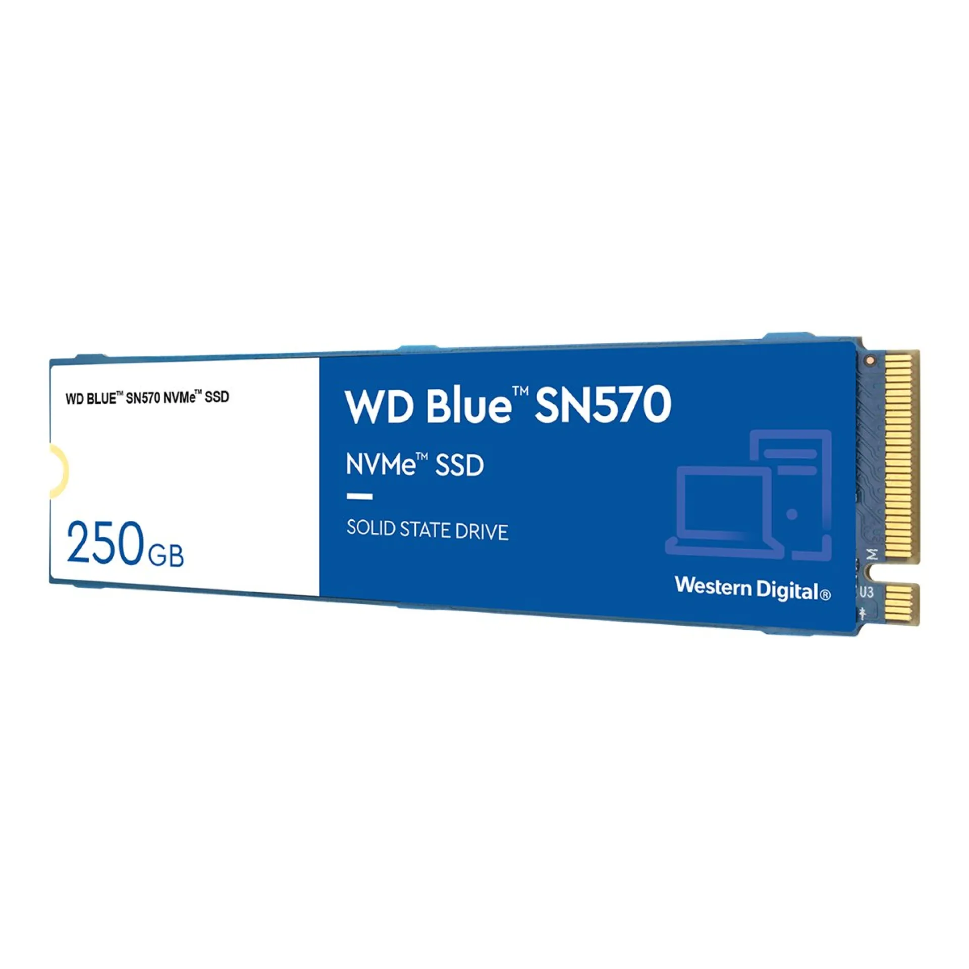 WDS250G3B0C