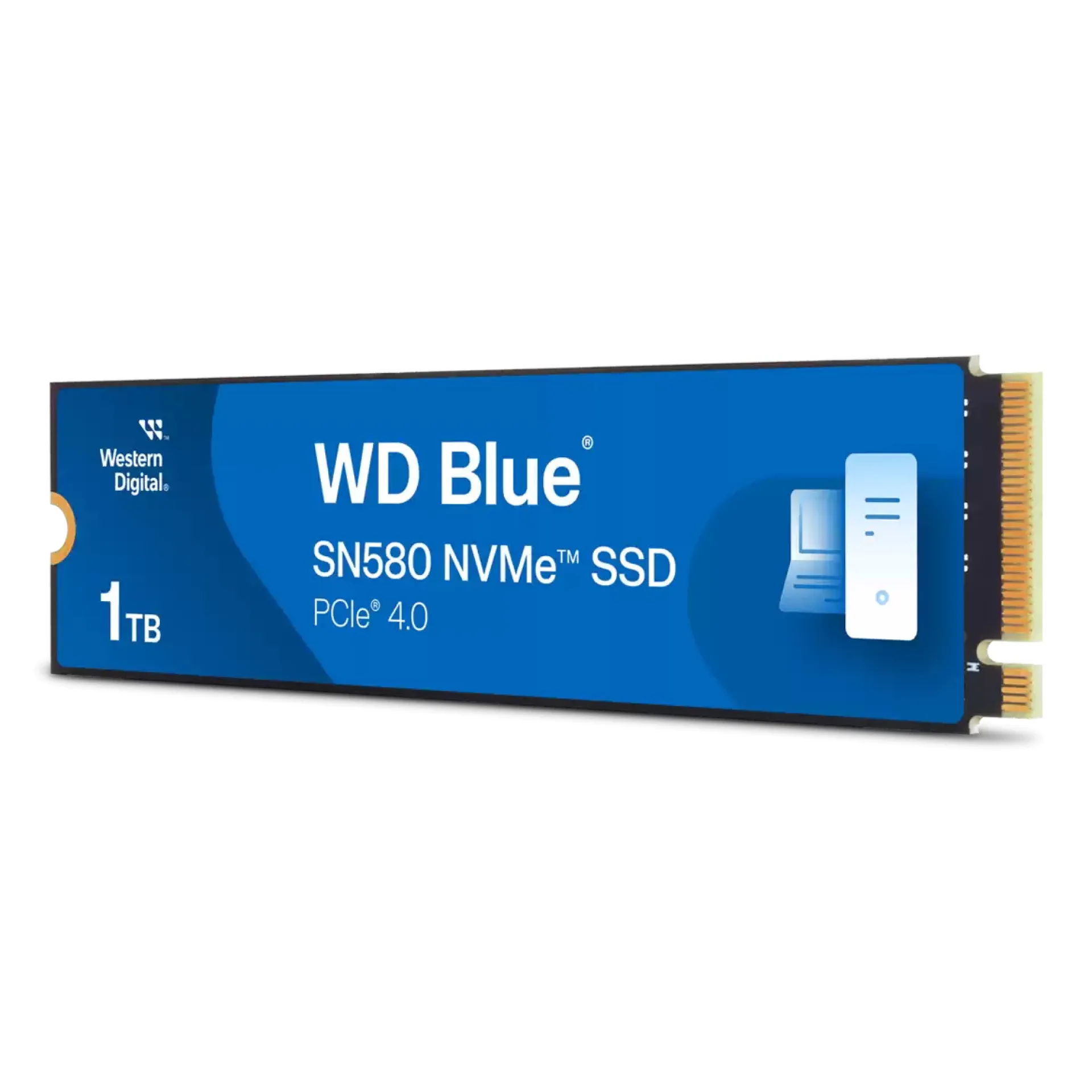 WDS100T3B0E