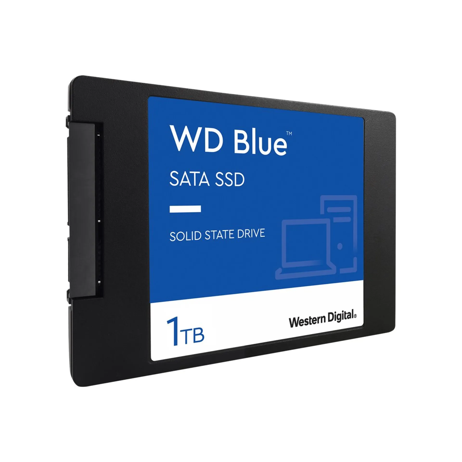 WDS100T2B0A