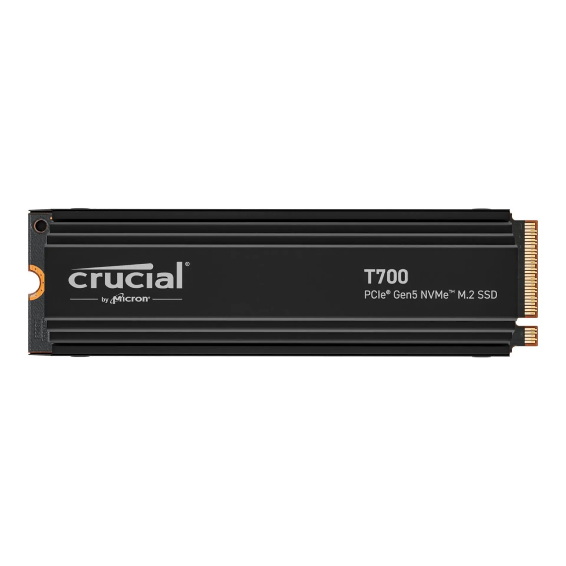 CT1000T700SSD5