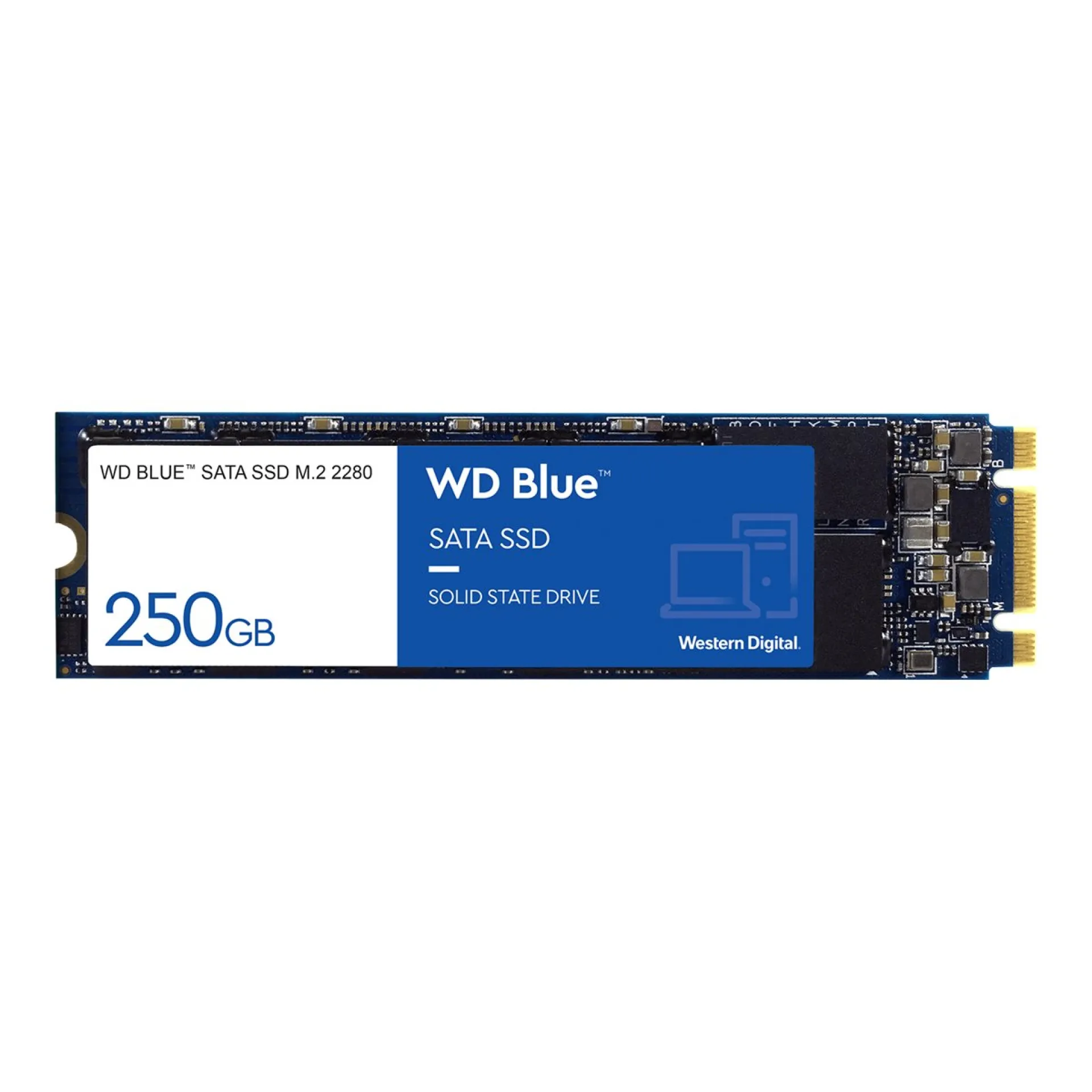 WDS250G2B0B