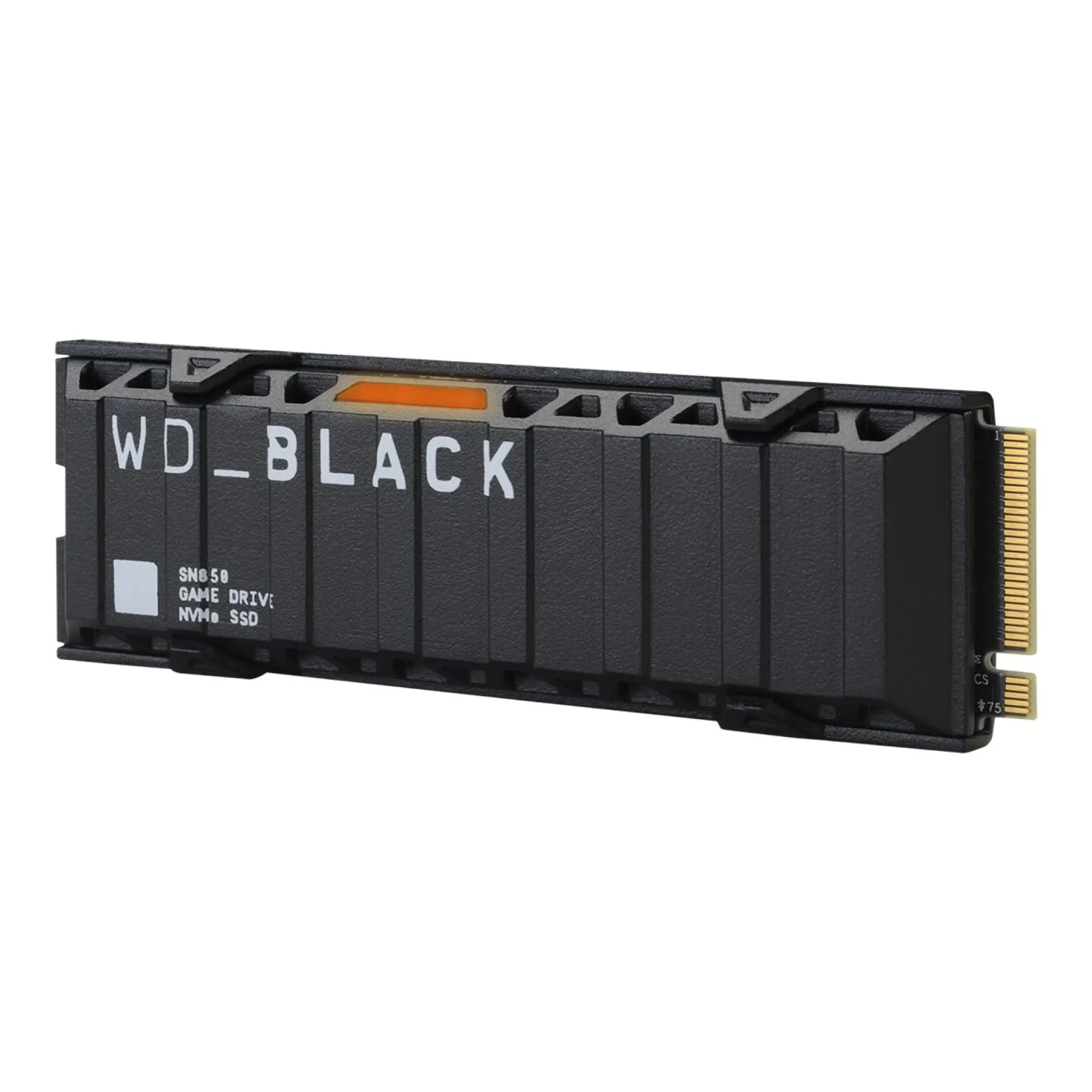 WDS500G1X0E